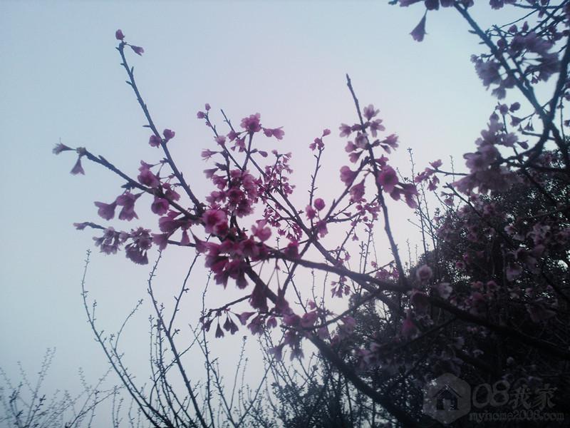 IMG20130308183427.jpg