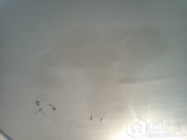 IMG1571.jpg