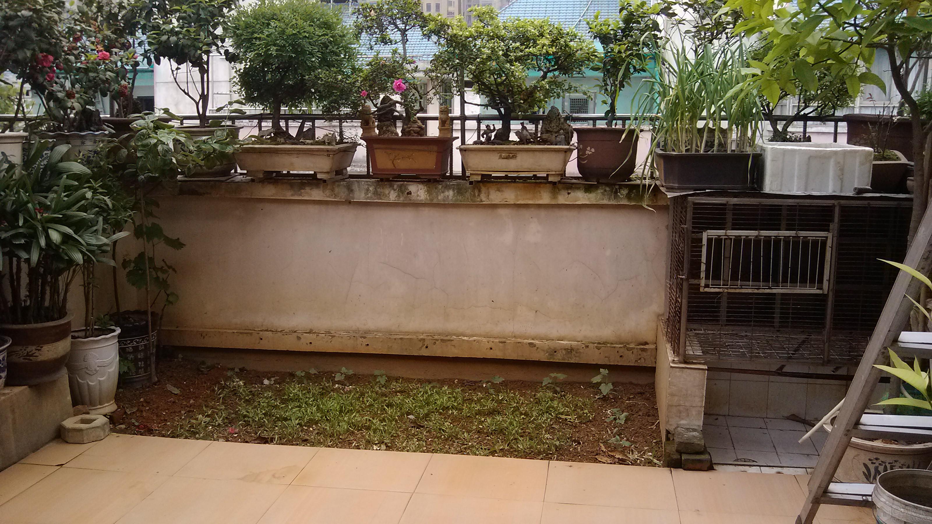 IMG_20130421_102836.jpg