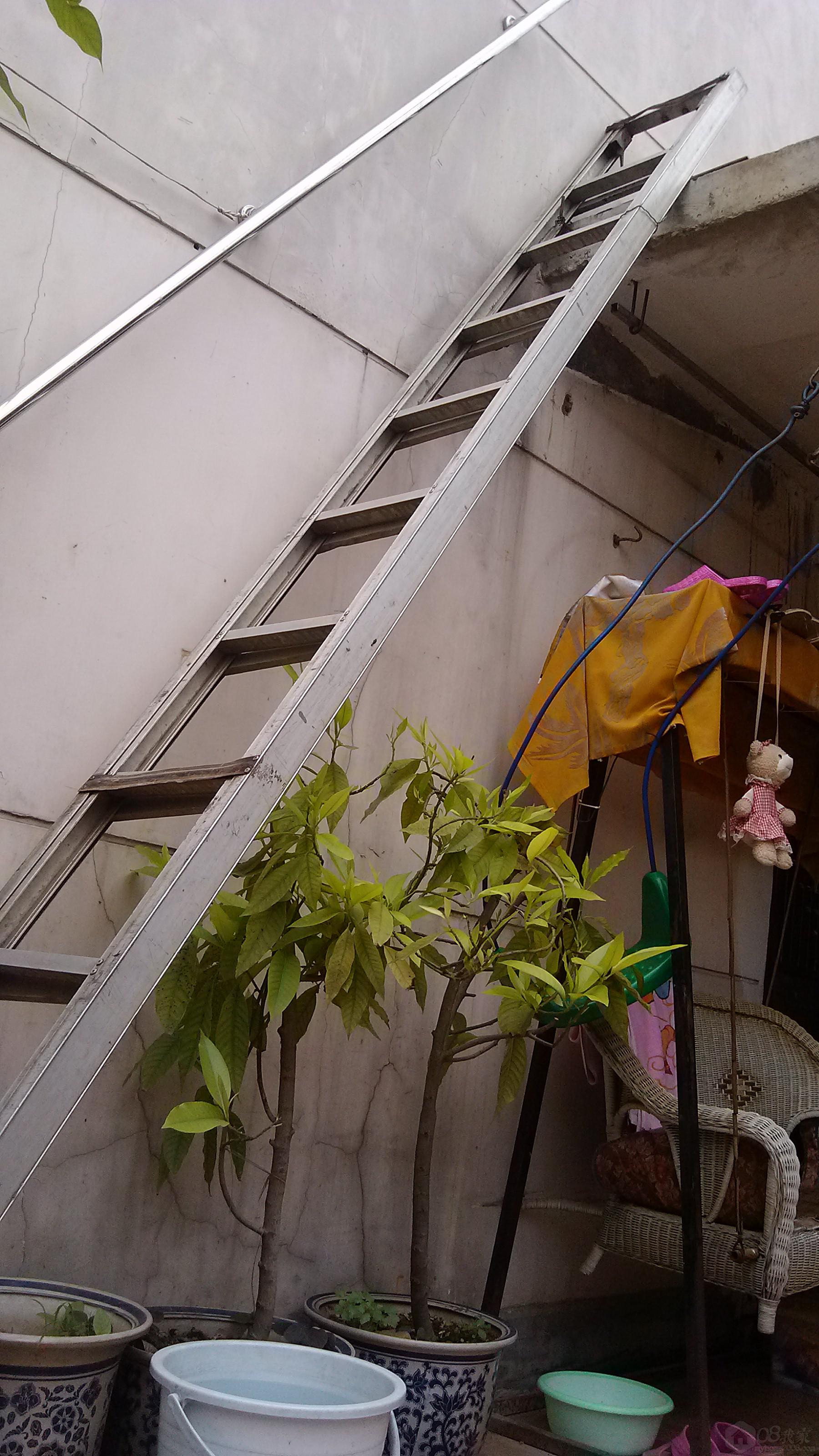 IMG_20130421_102920.jpg