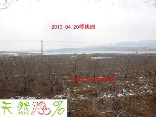 212.jpg 212.jpg