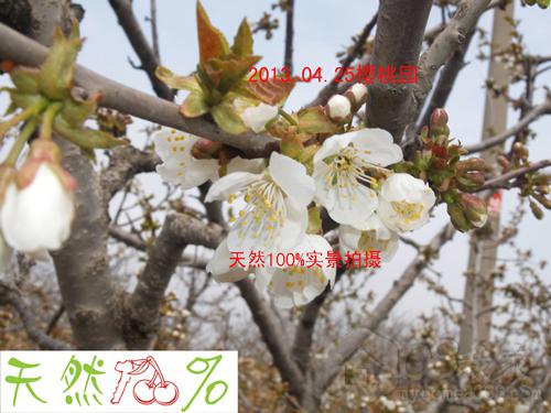 210.jpg 210.jpg