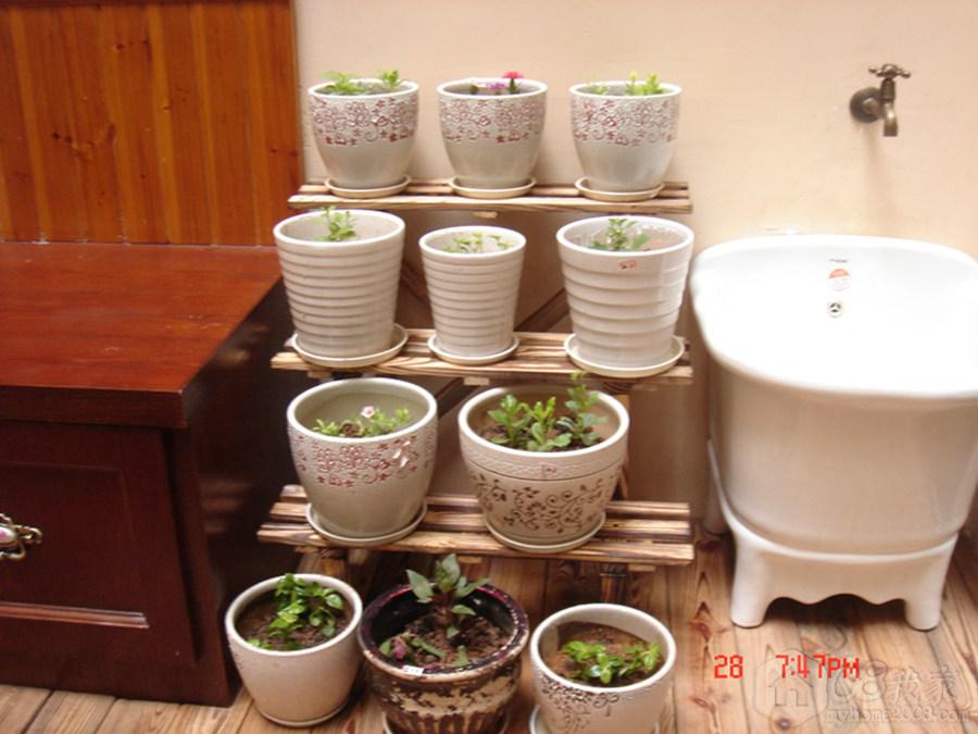 DSC07688.jpg