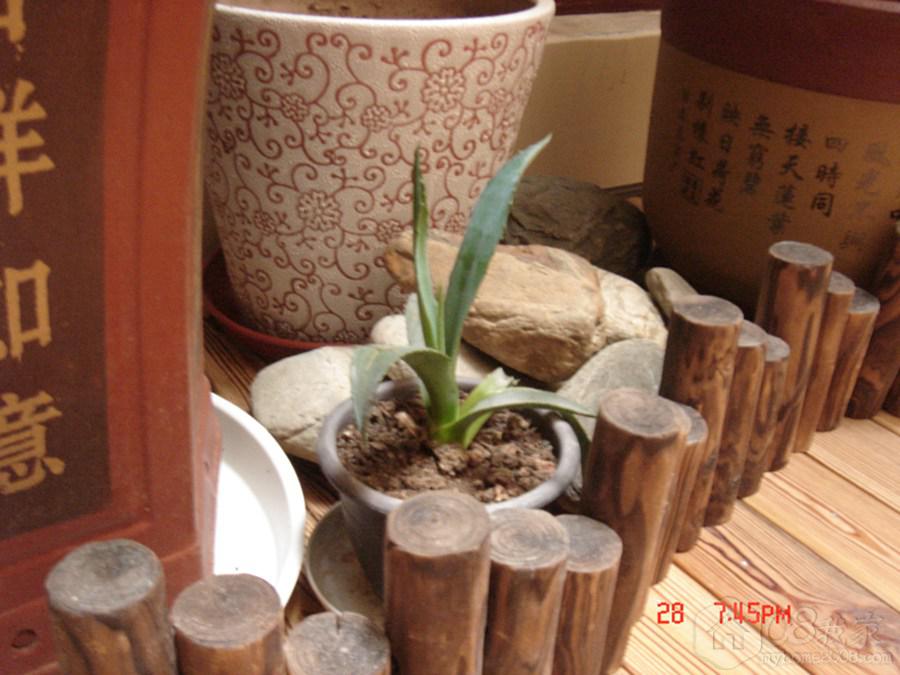 DSC07683.jpg