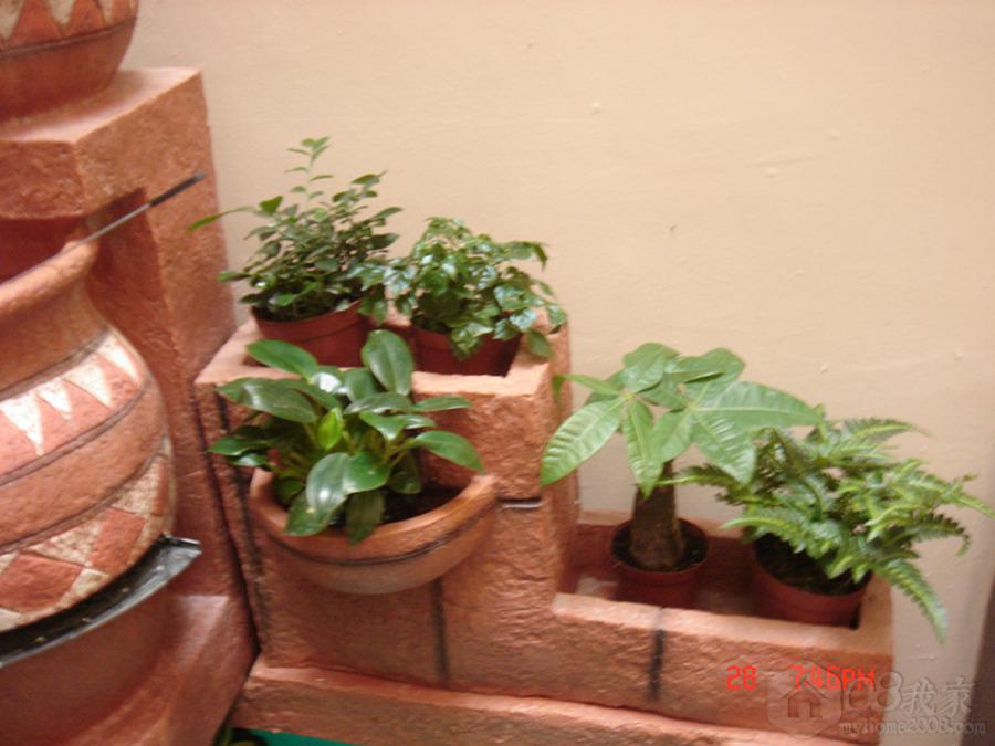 DSC07686.jpg
