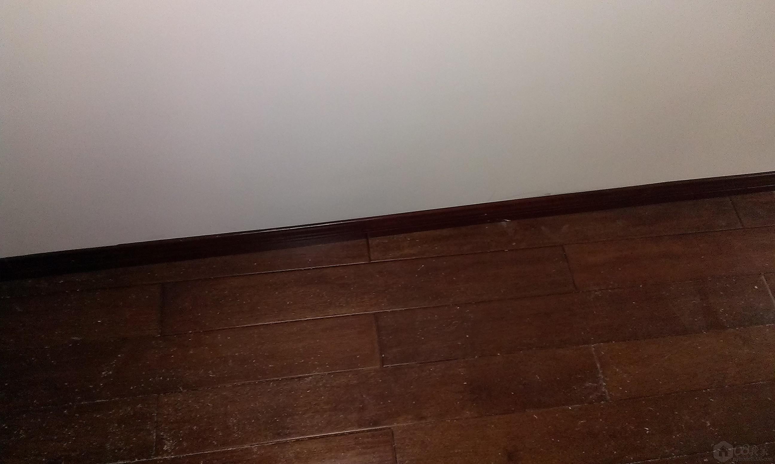IMAG0172.jpg