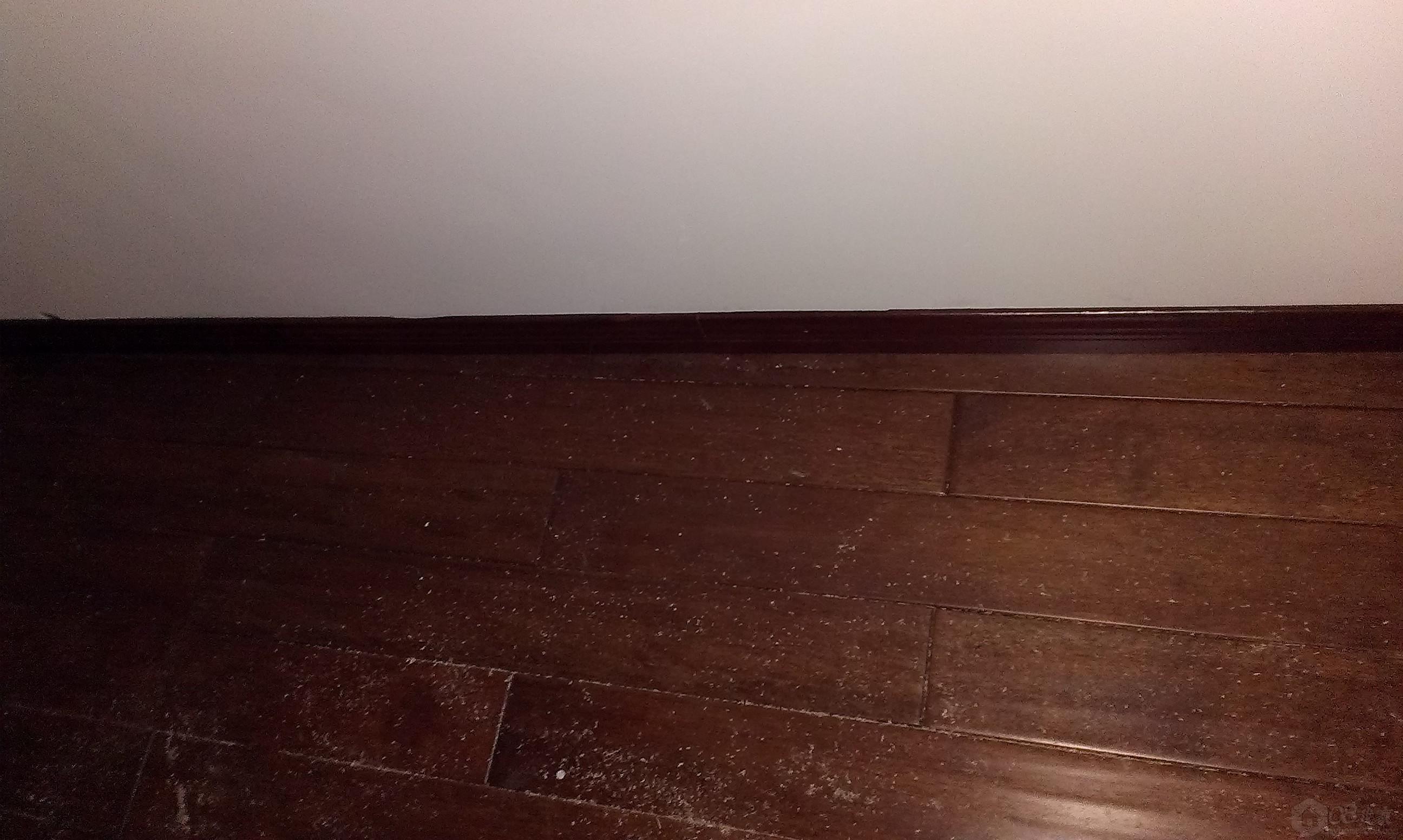 IMAG0174.jpg