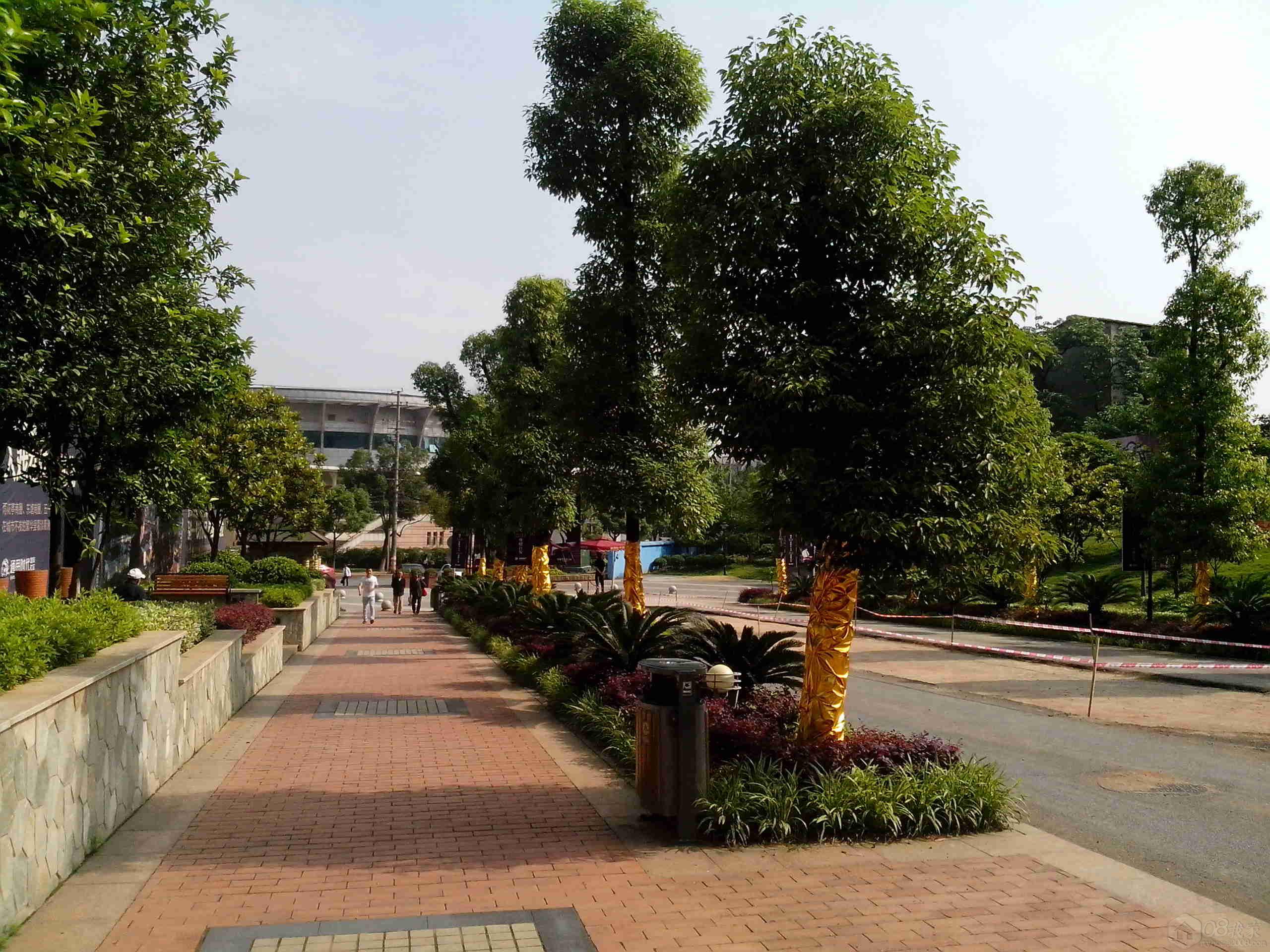 IMG_20130517_090159.jpg