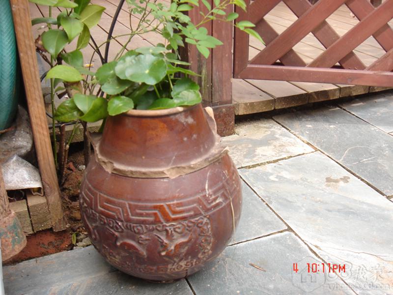 DSC07743.jpg