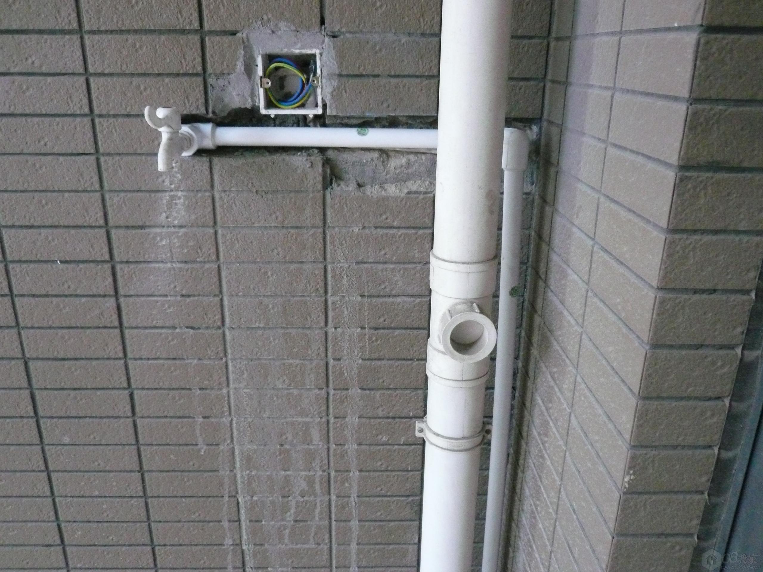 P1070004.JPG