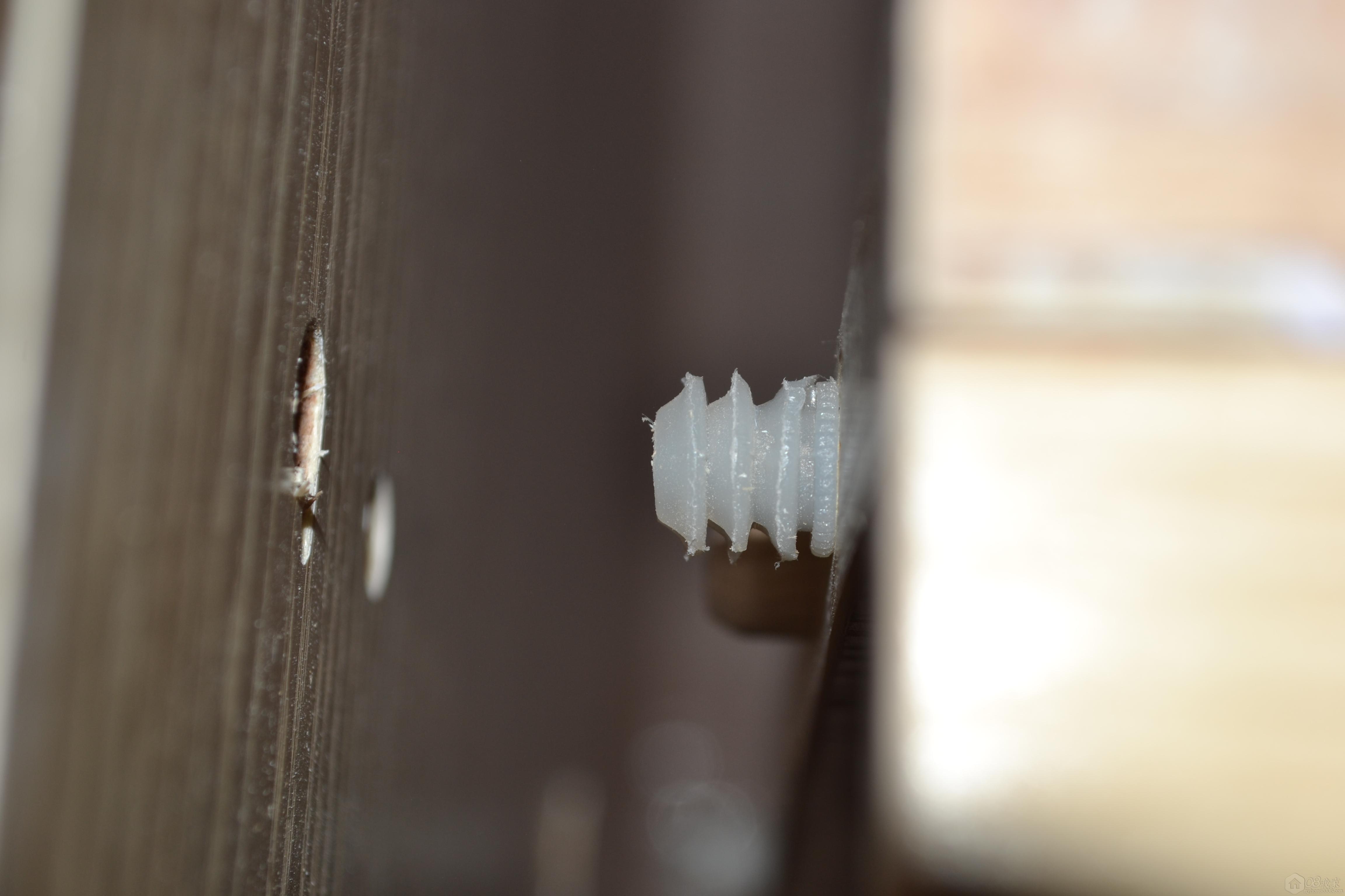 DSC_2668.JPG