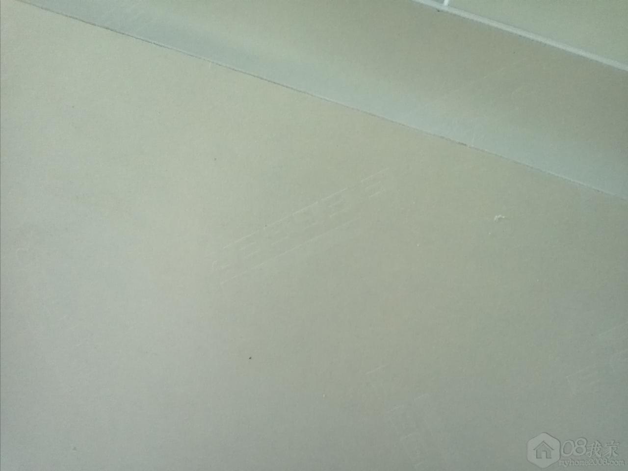 IMG2287.jpg