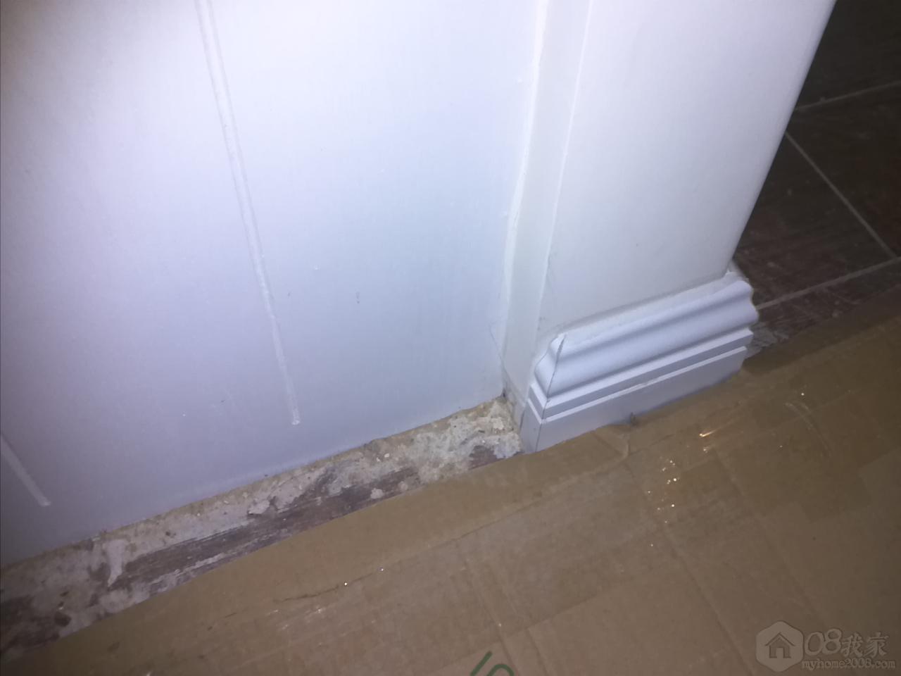 IMG2306.jpg