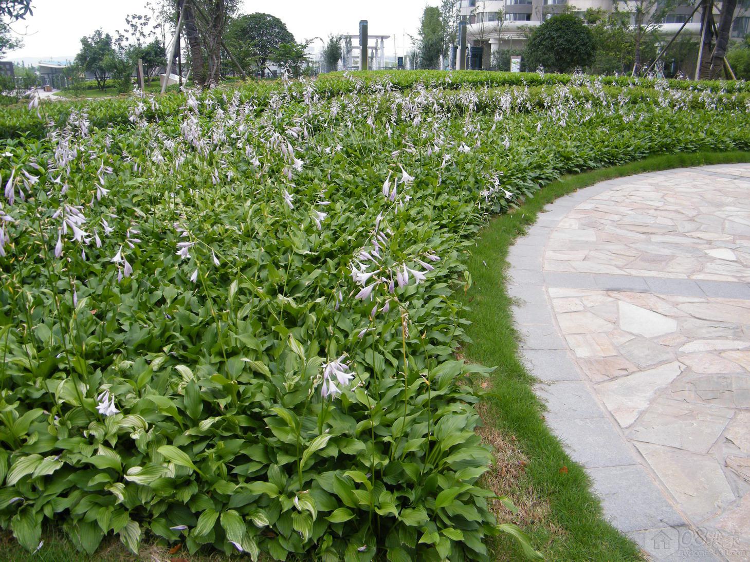 DSCF1557.jpg