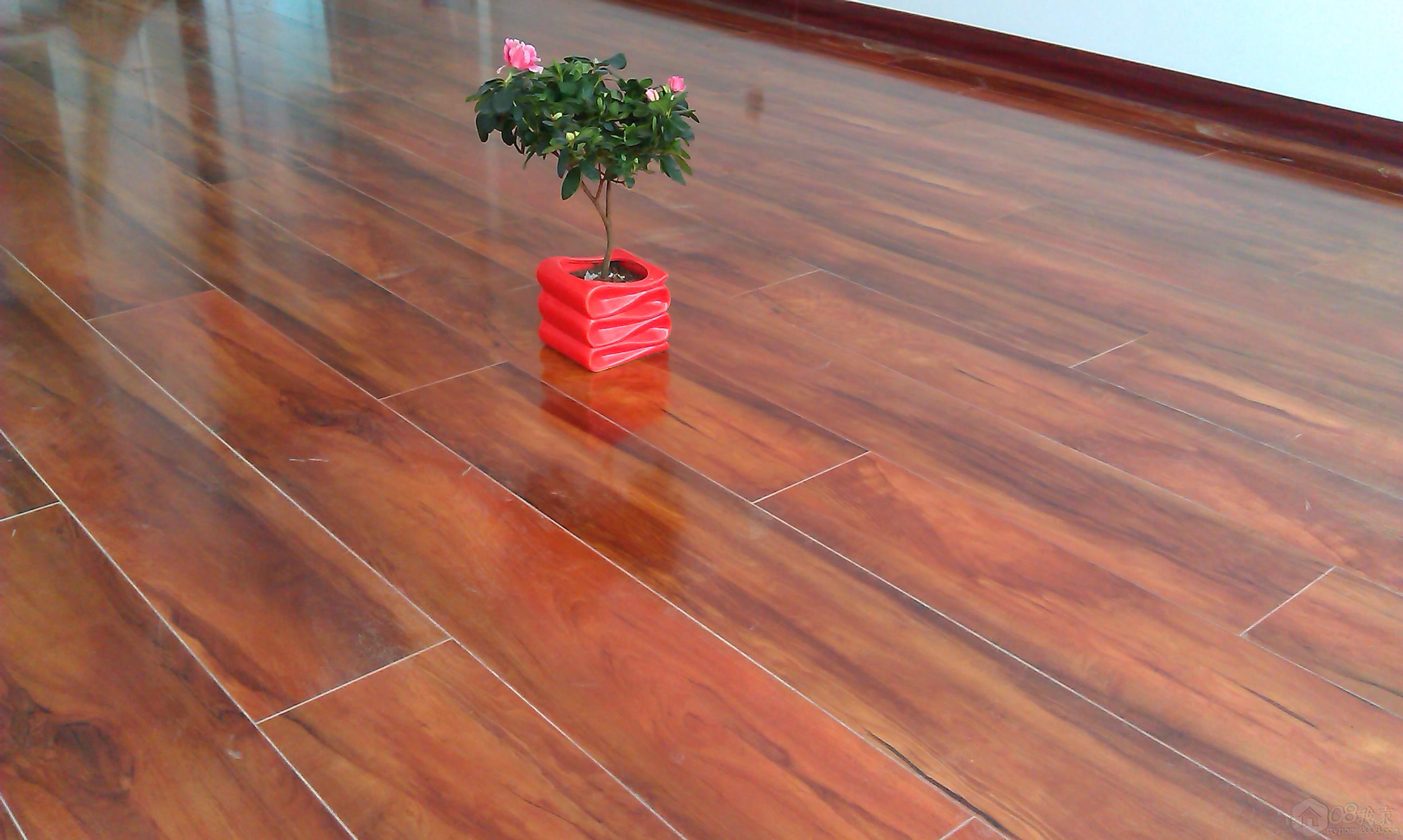 IMAG0235.jpg