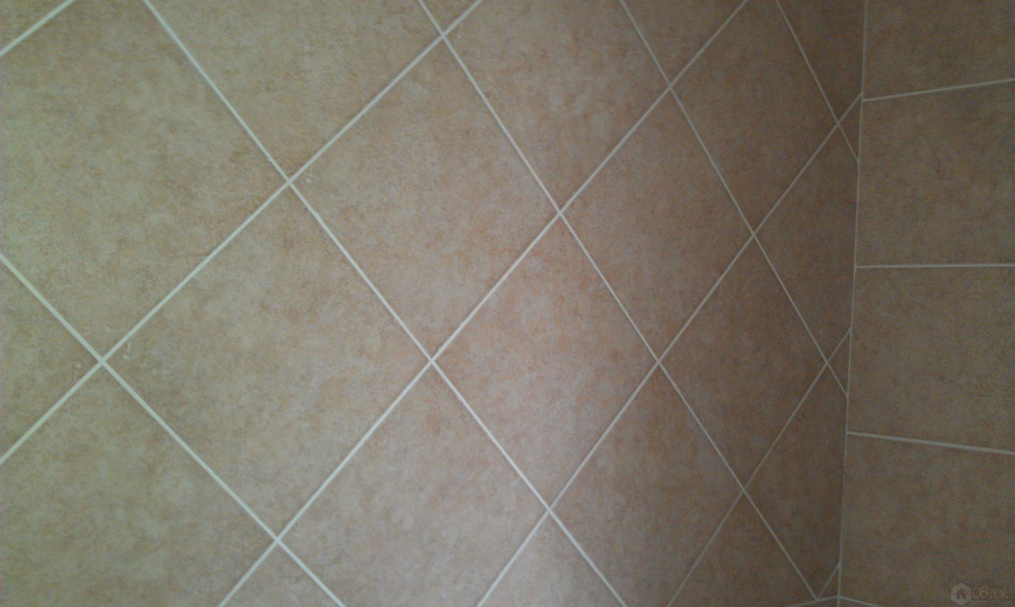 IMAG0252.jpg