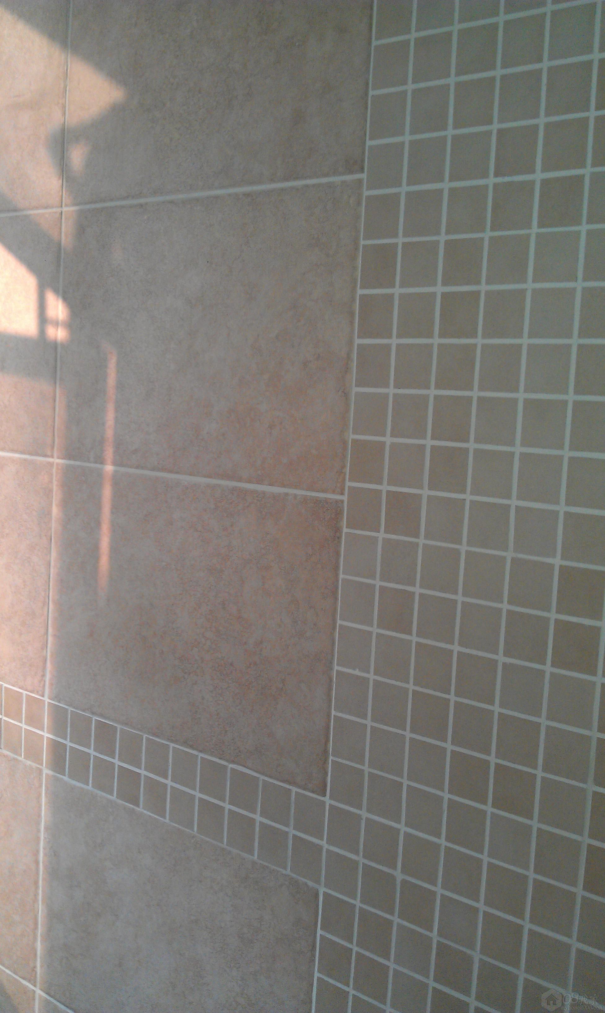 IMAG0255.jpg