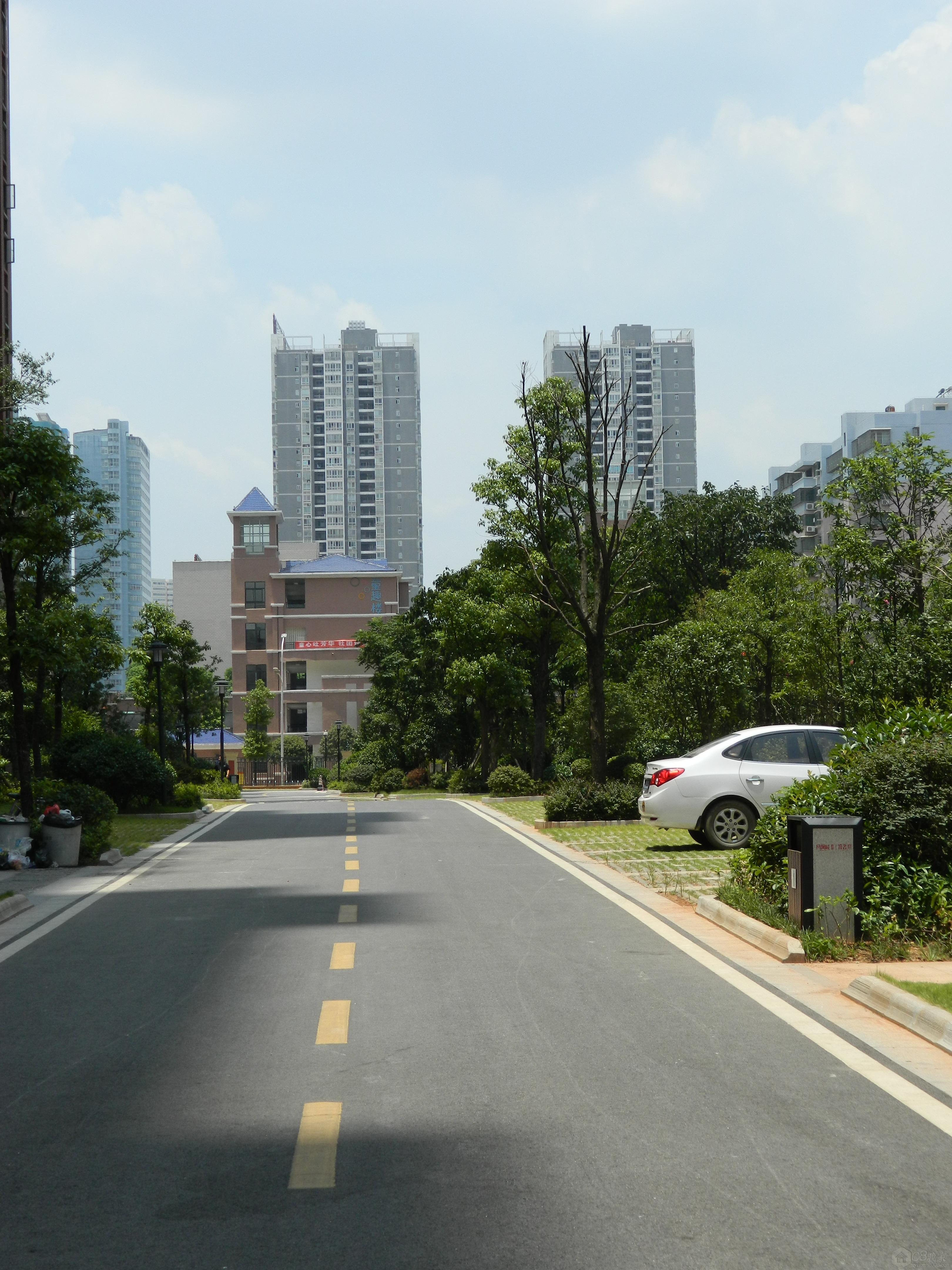 DSCN1536.jpg