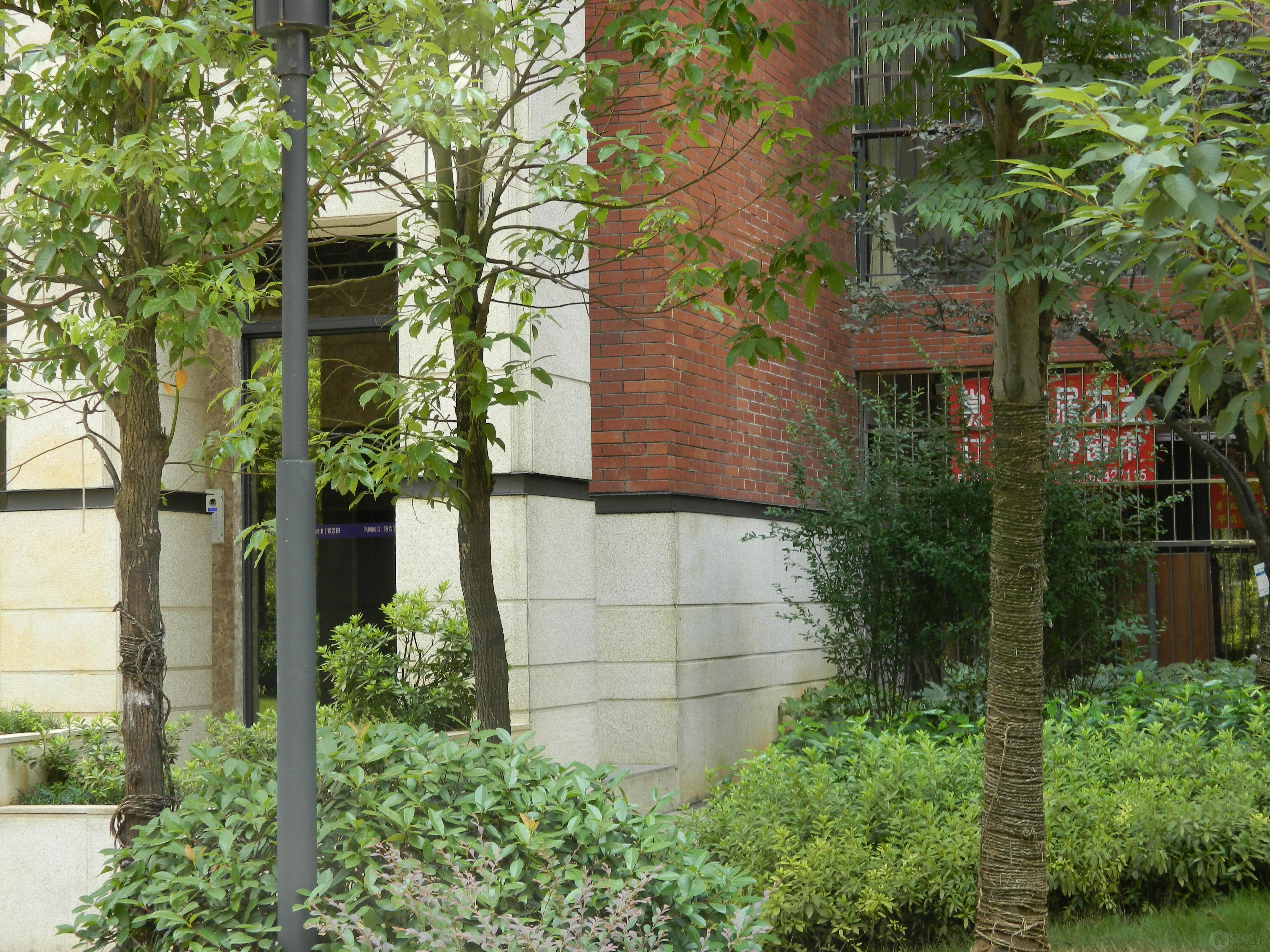 DSCN1537.jpg
