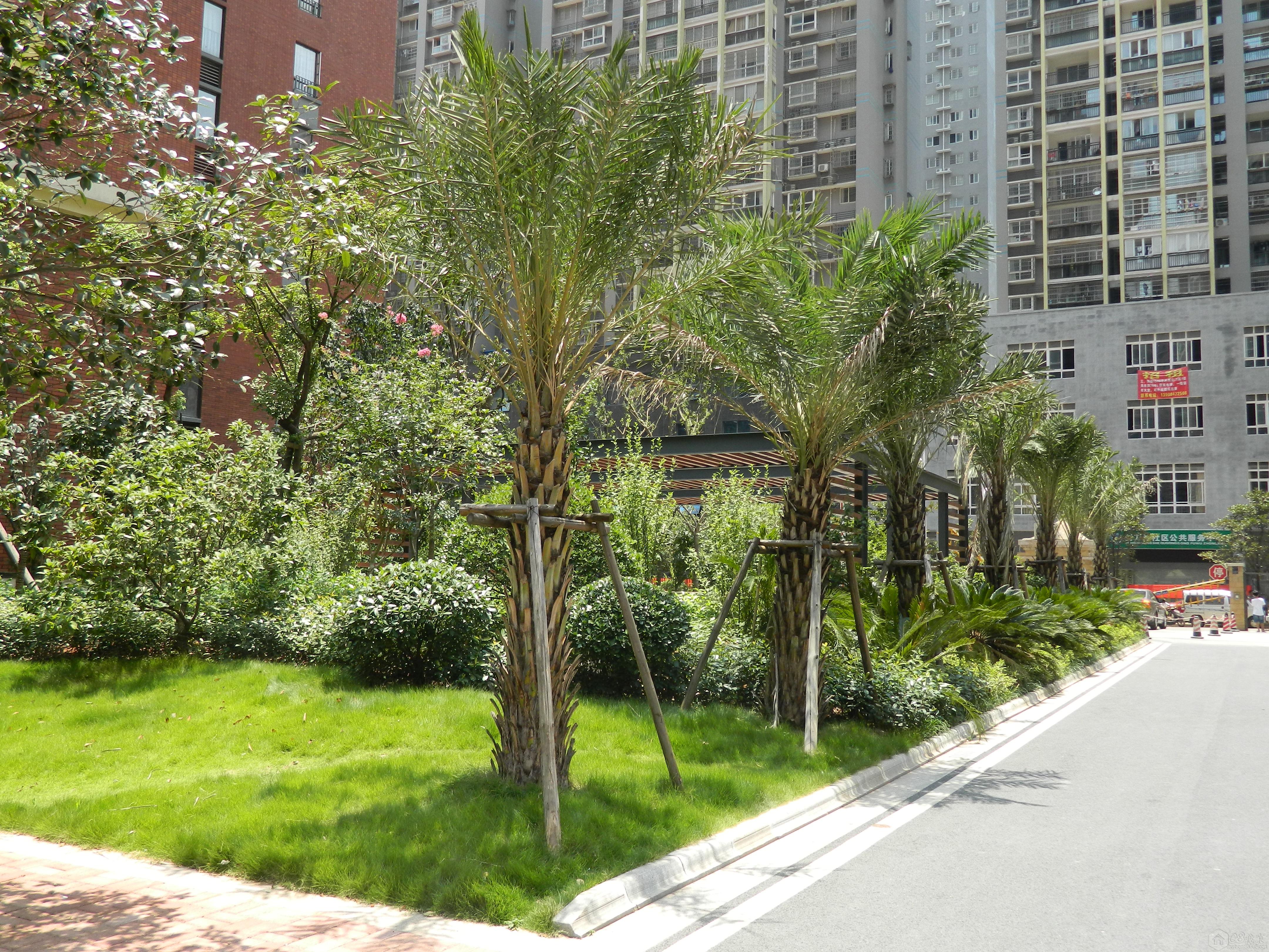 DSCN1541.jpg