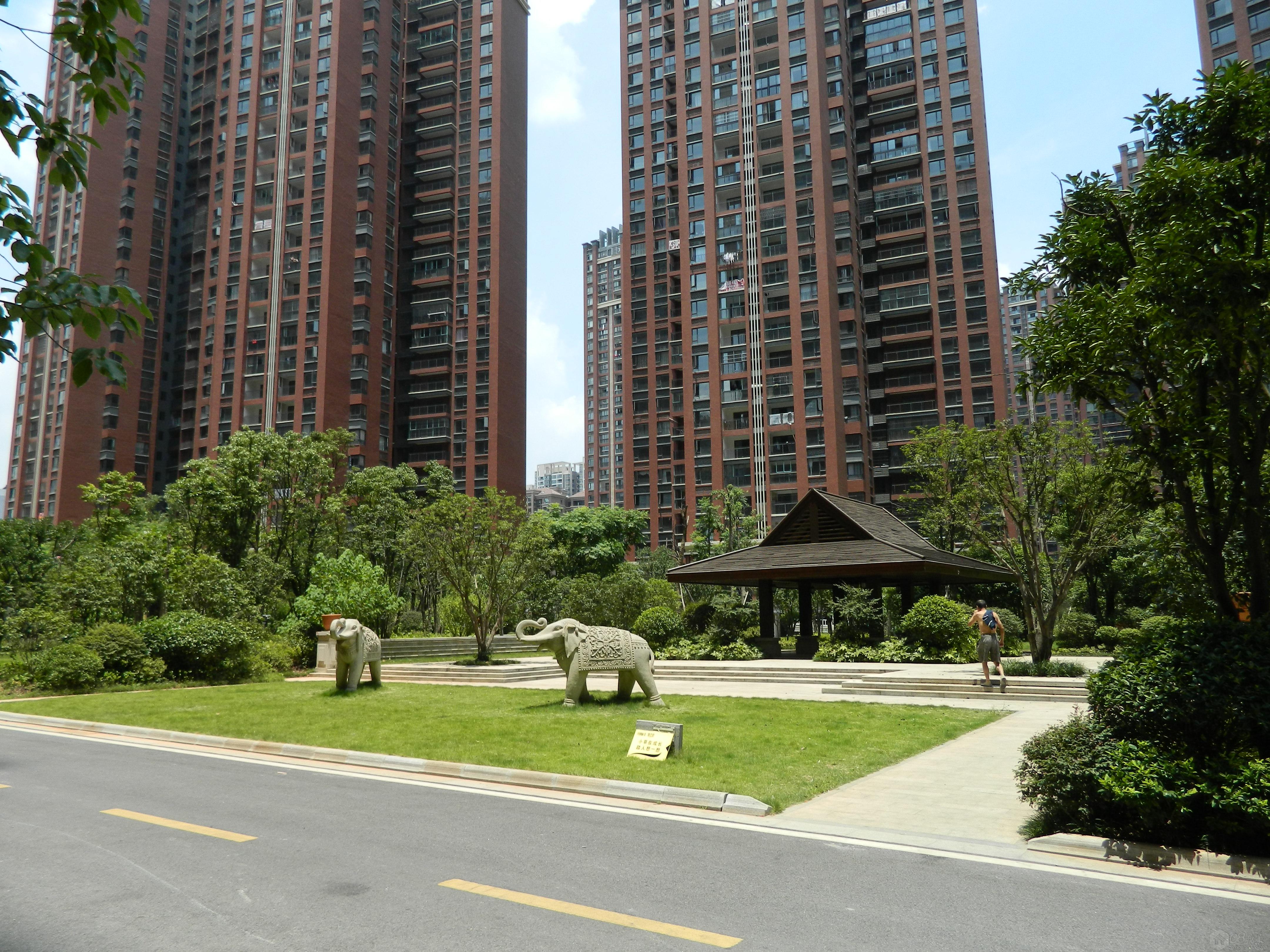 DSCN1534.jpg