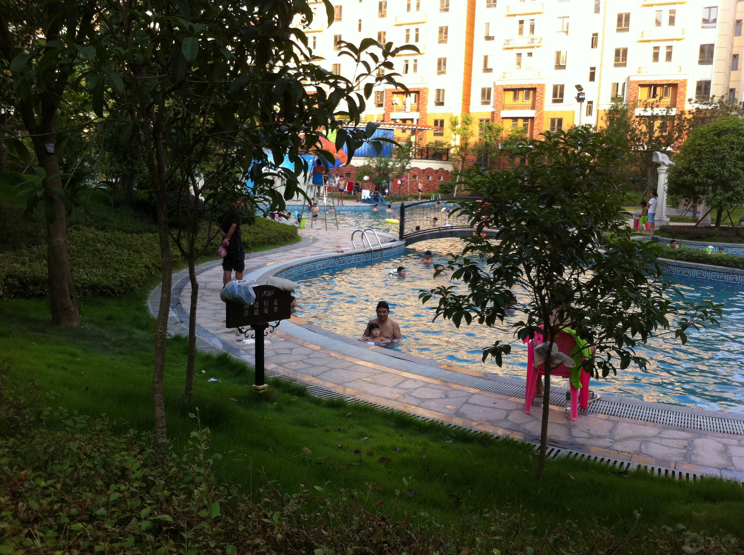 IMG_0455.jpg
