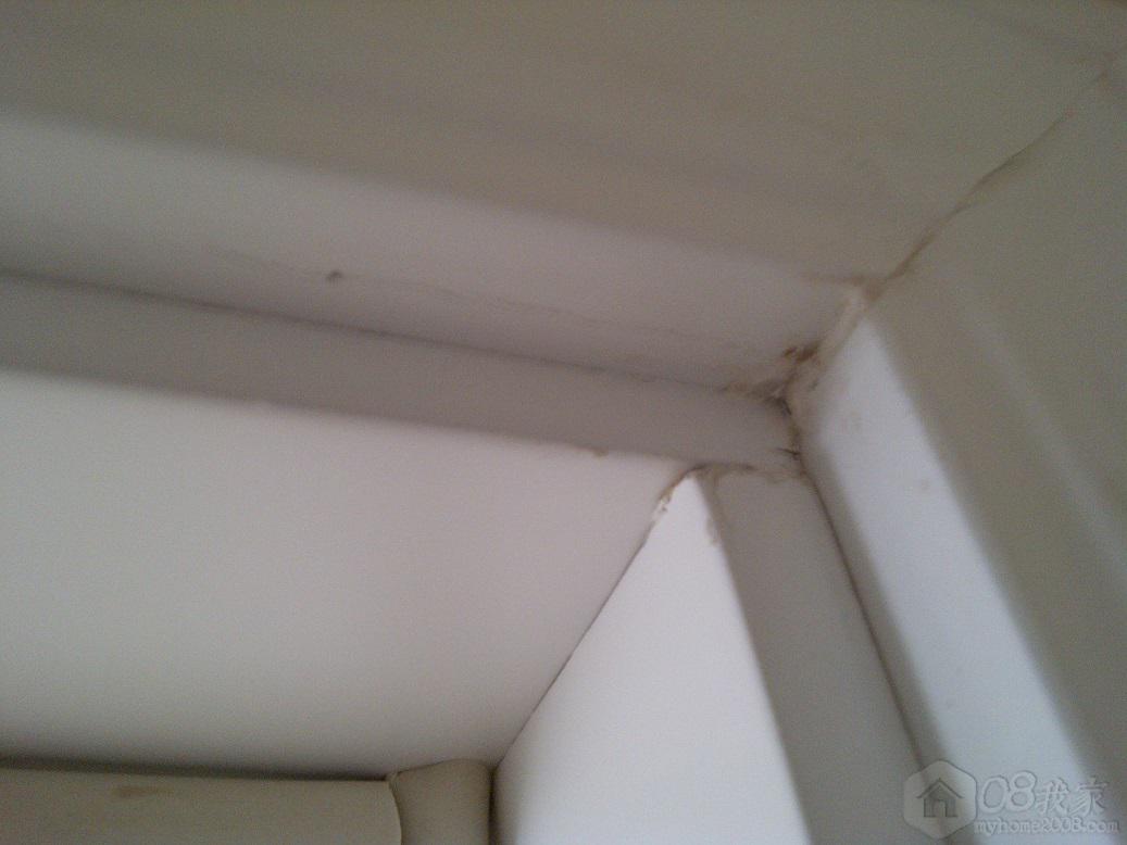 IMG-20130521-00595.jpg