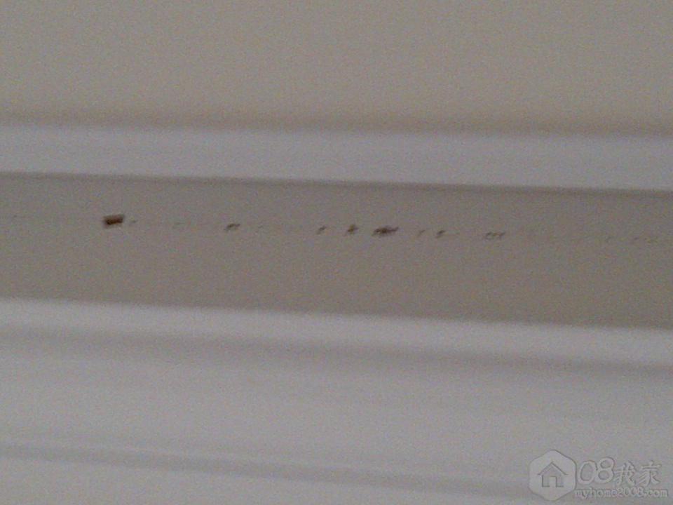 IMG-20130521-00597.jpg