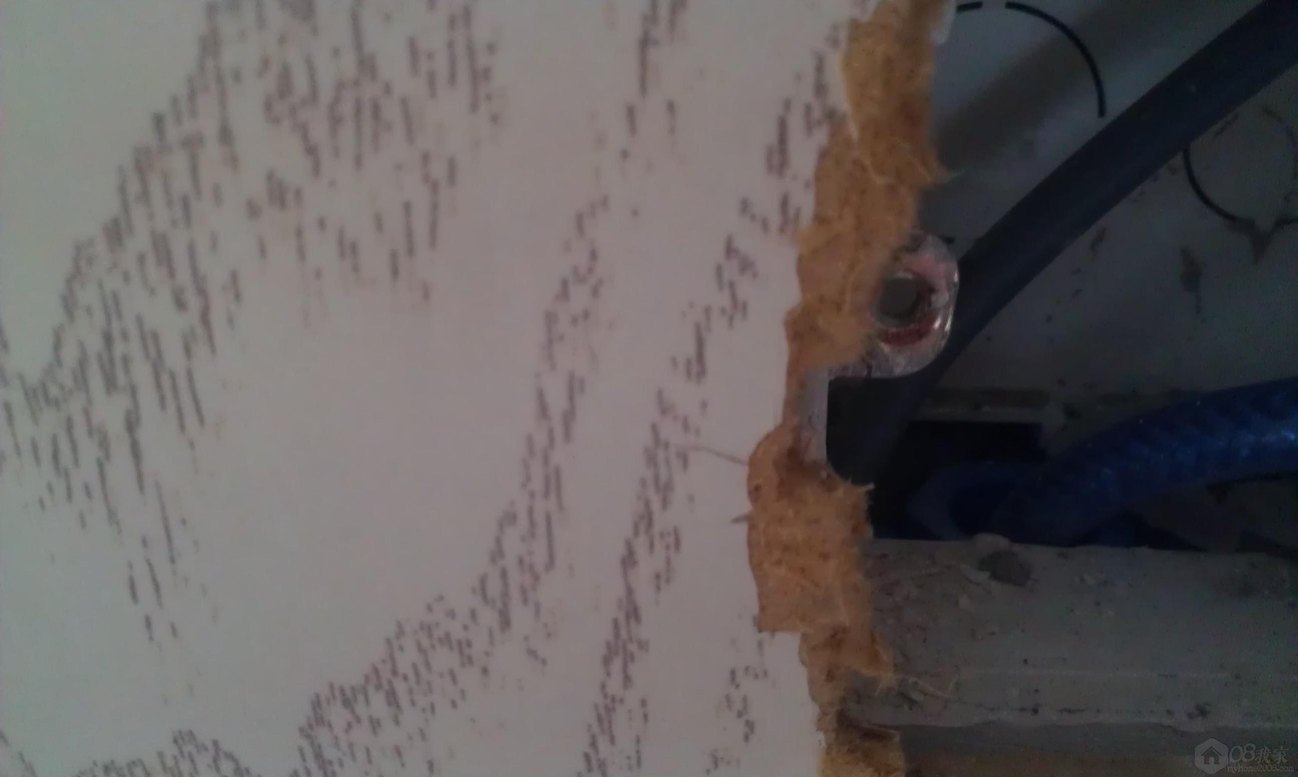 IMAG0735.jpg