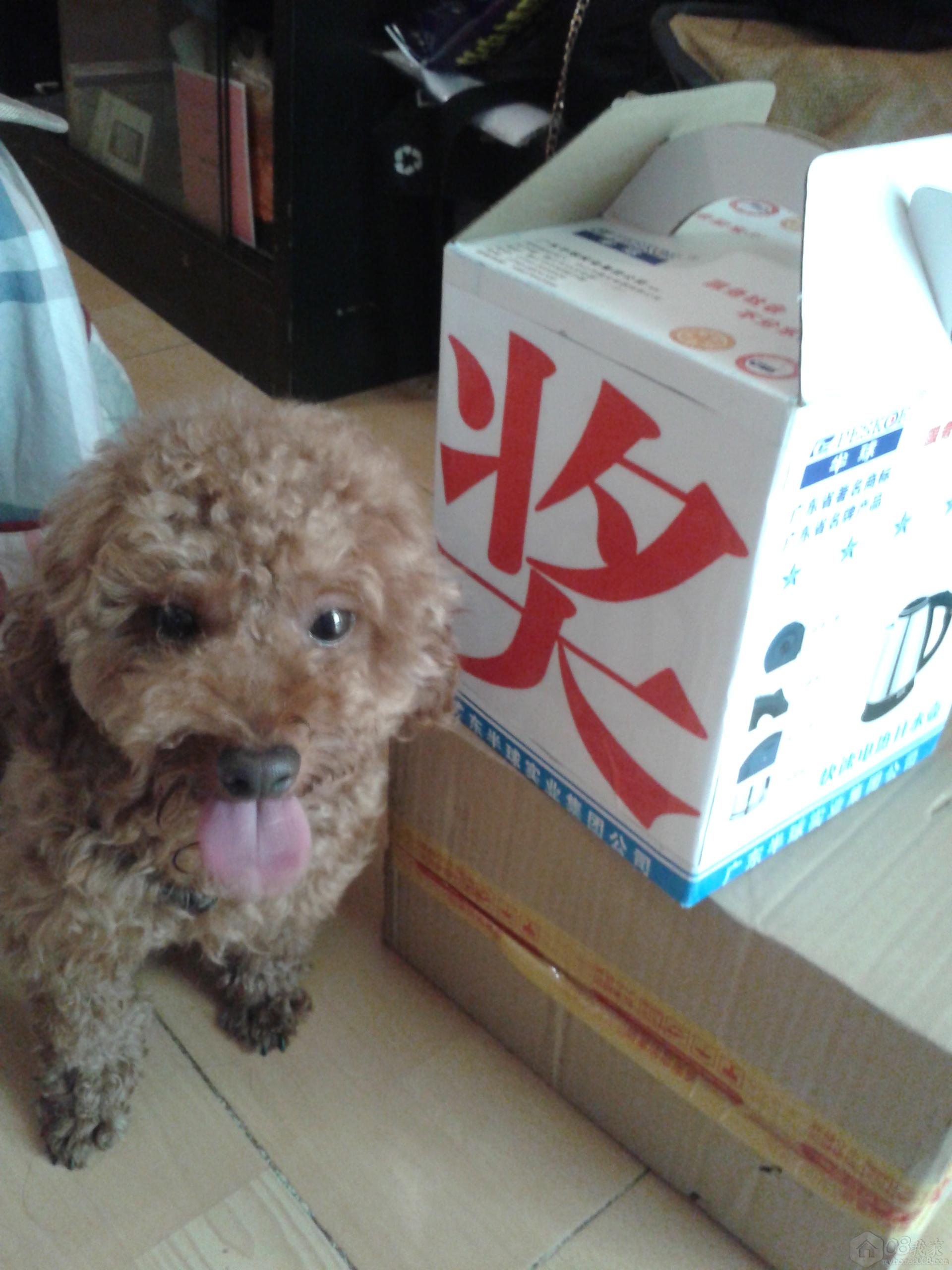 20130719_101034.jpg