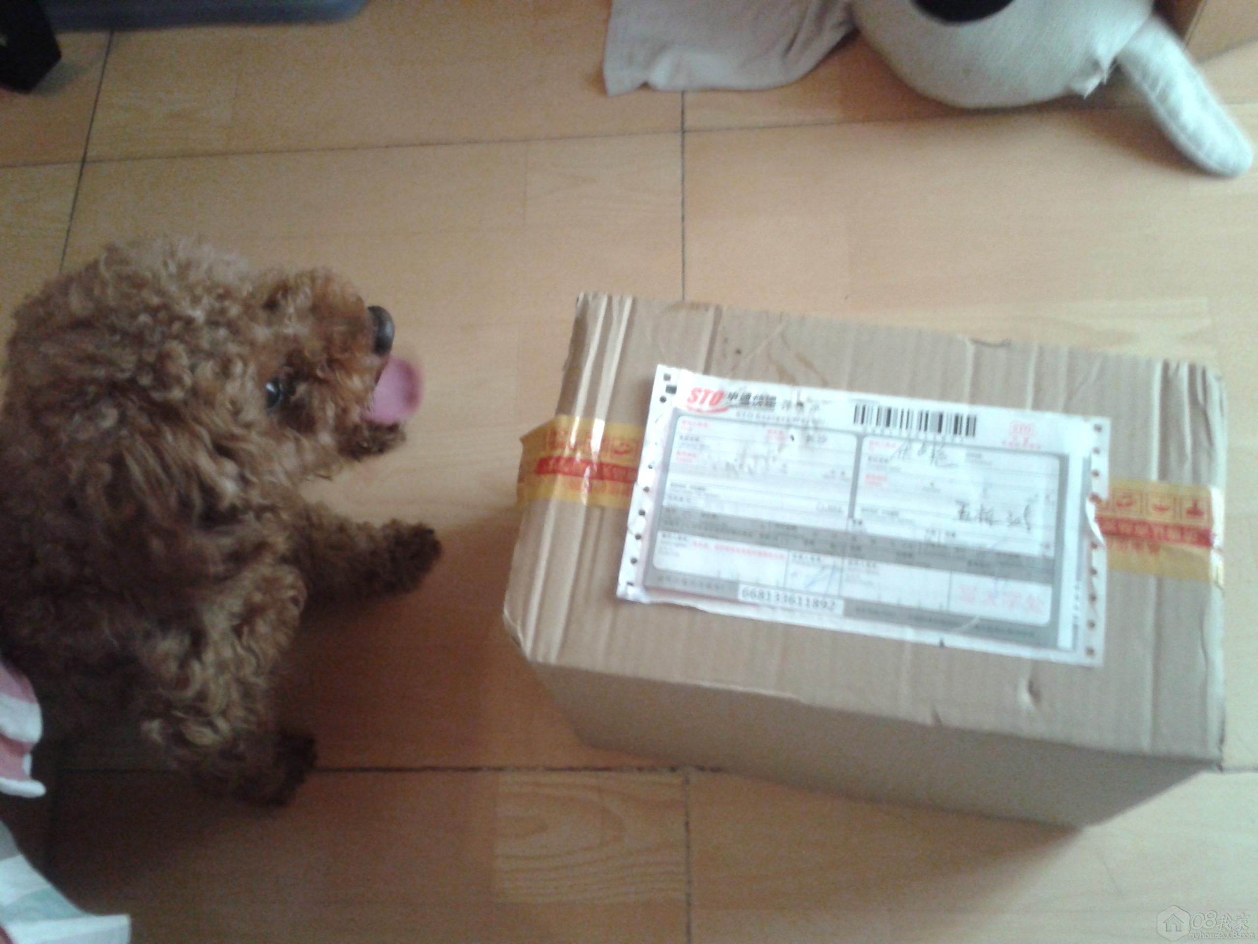 20130719_100700.jpg