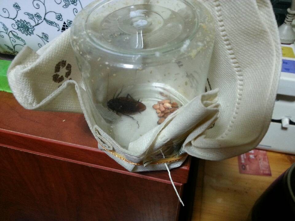 未命名.jpg 未命名.jpg