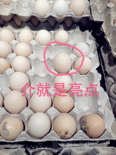 IMG_4942__.gif