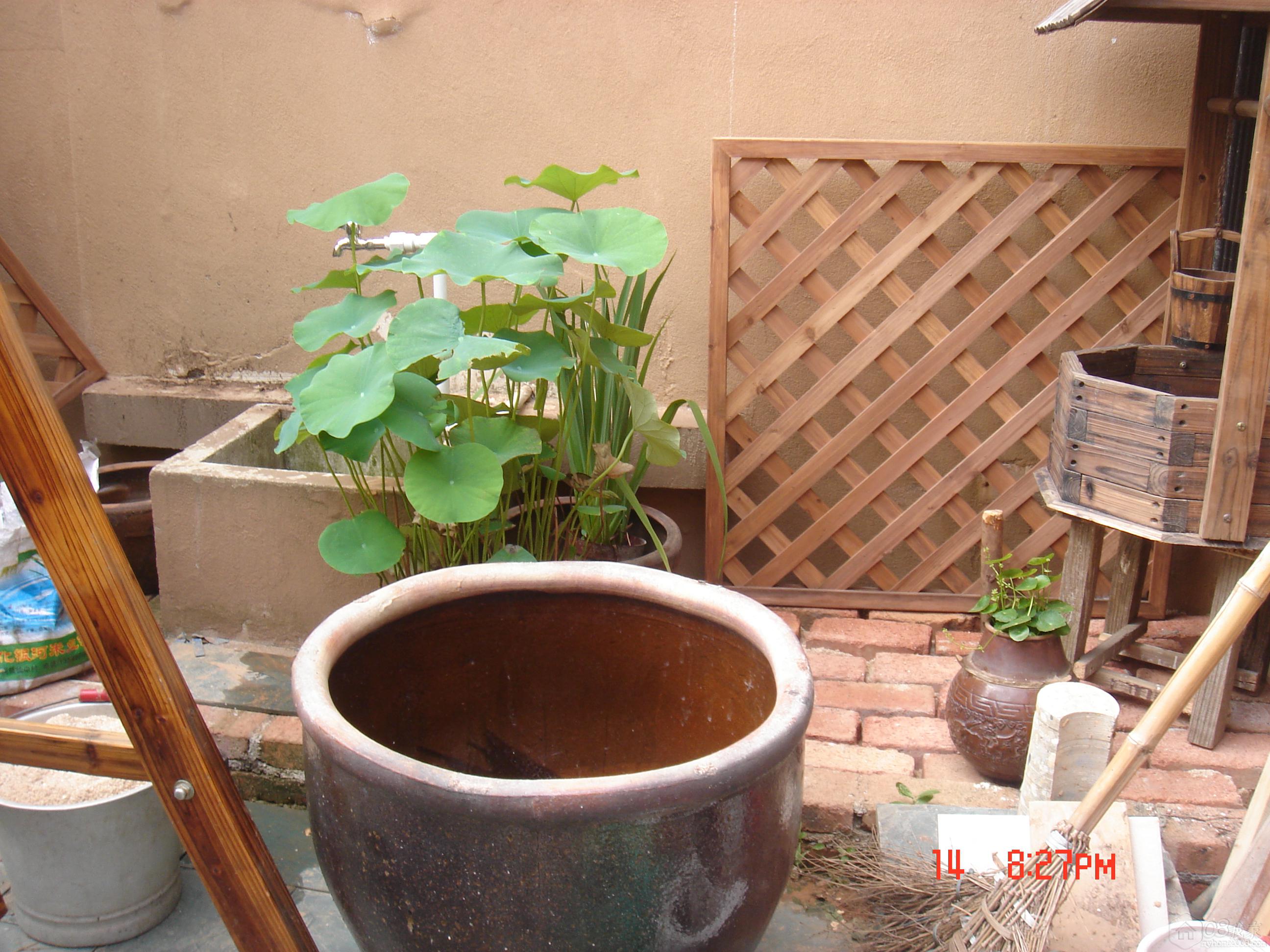 DSC08039.JPG