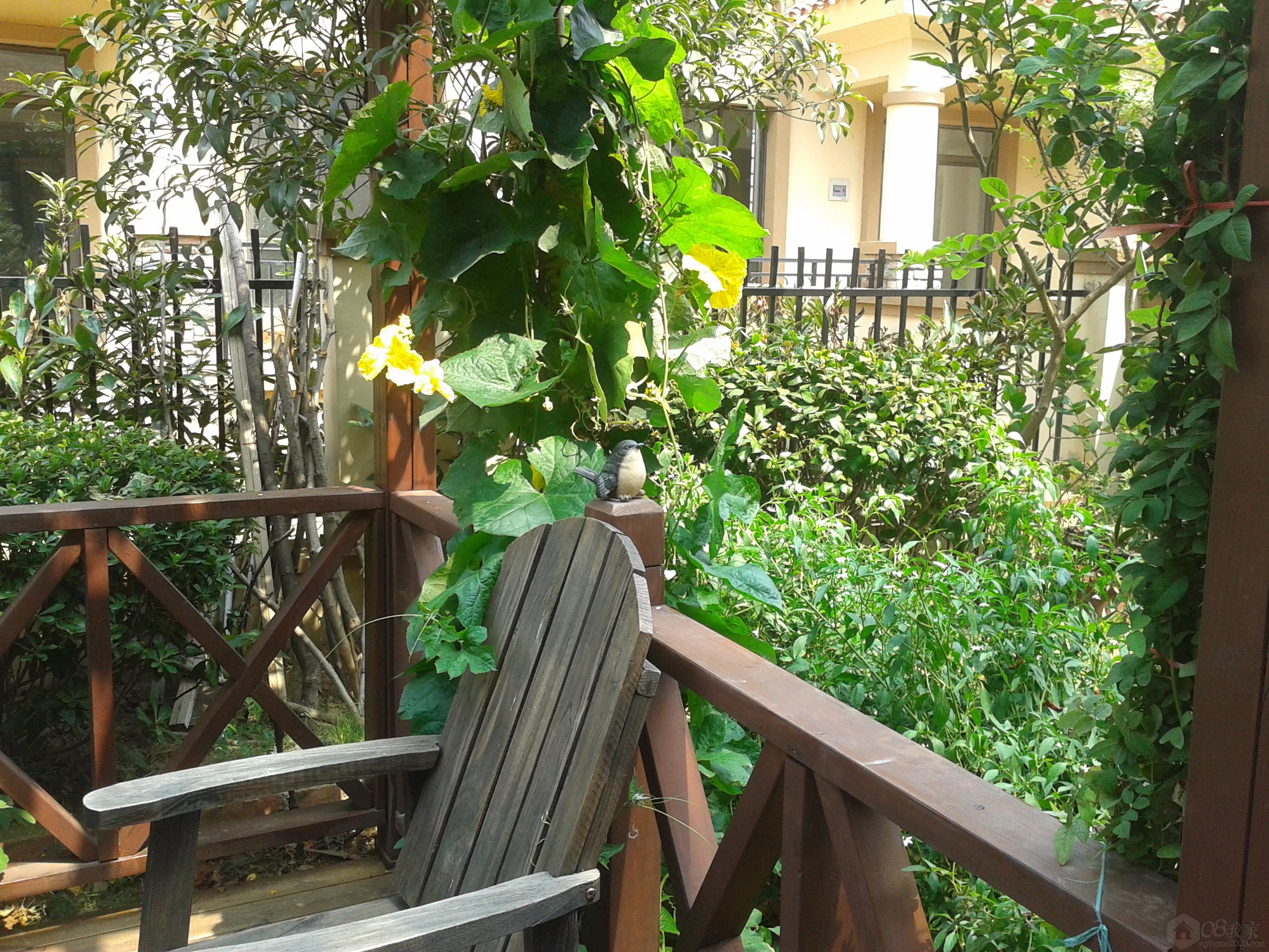 20130829_105241.jpg