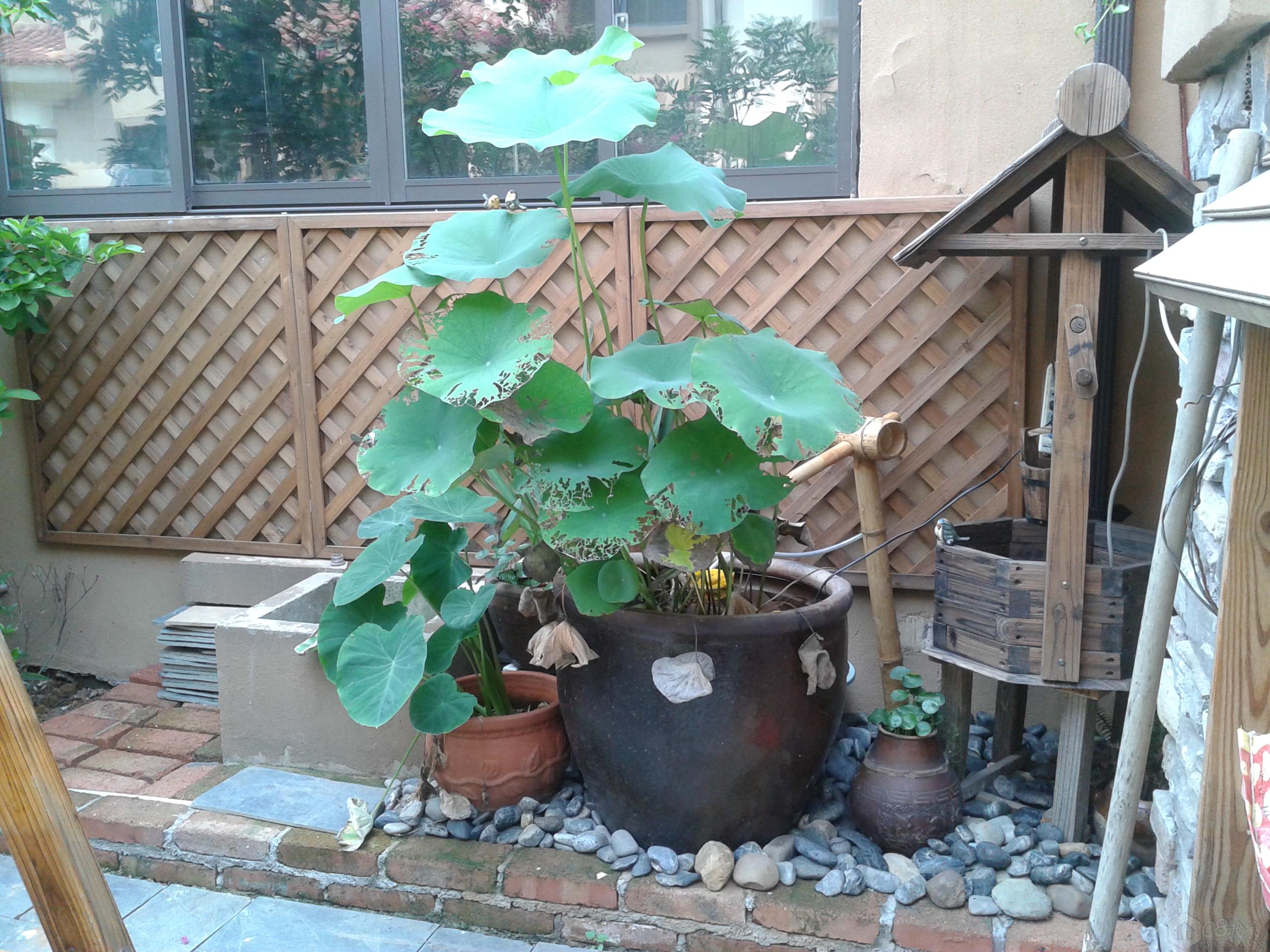 20130829_105309.jpg