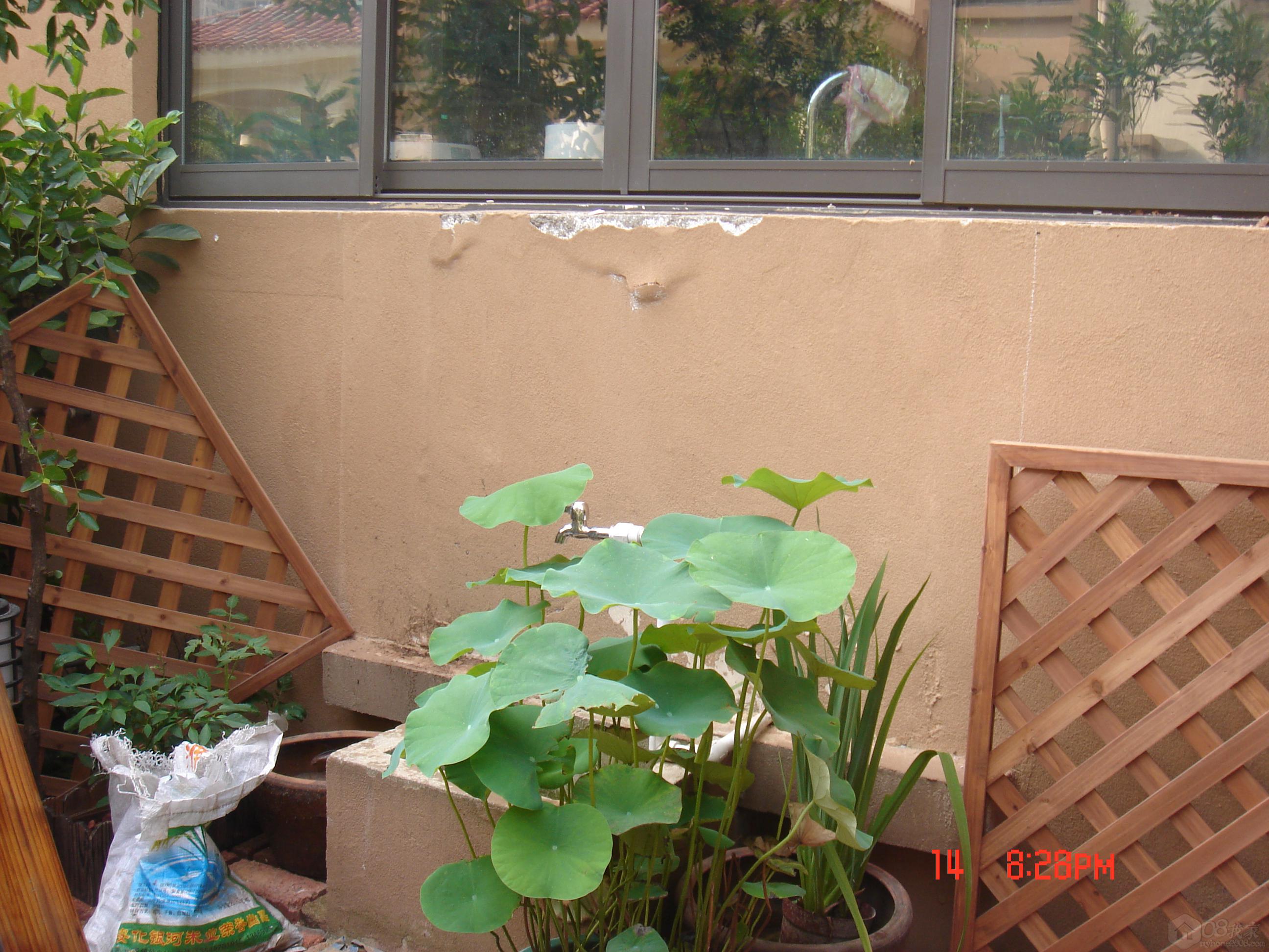 DSC08040.JPG