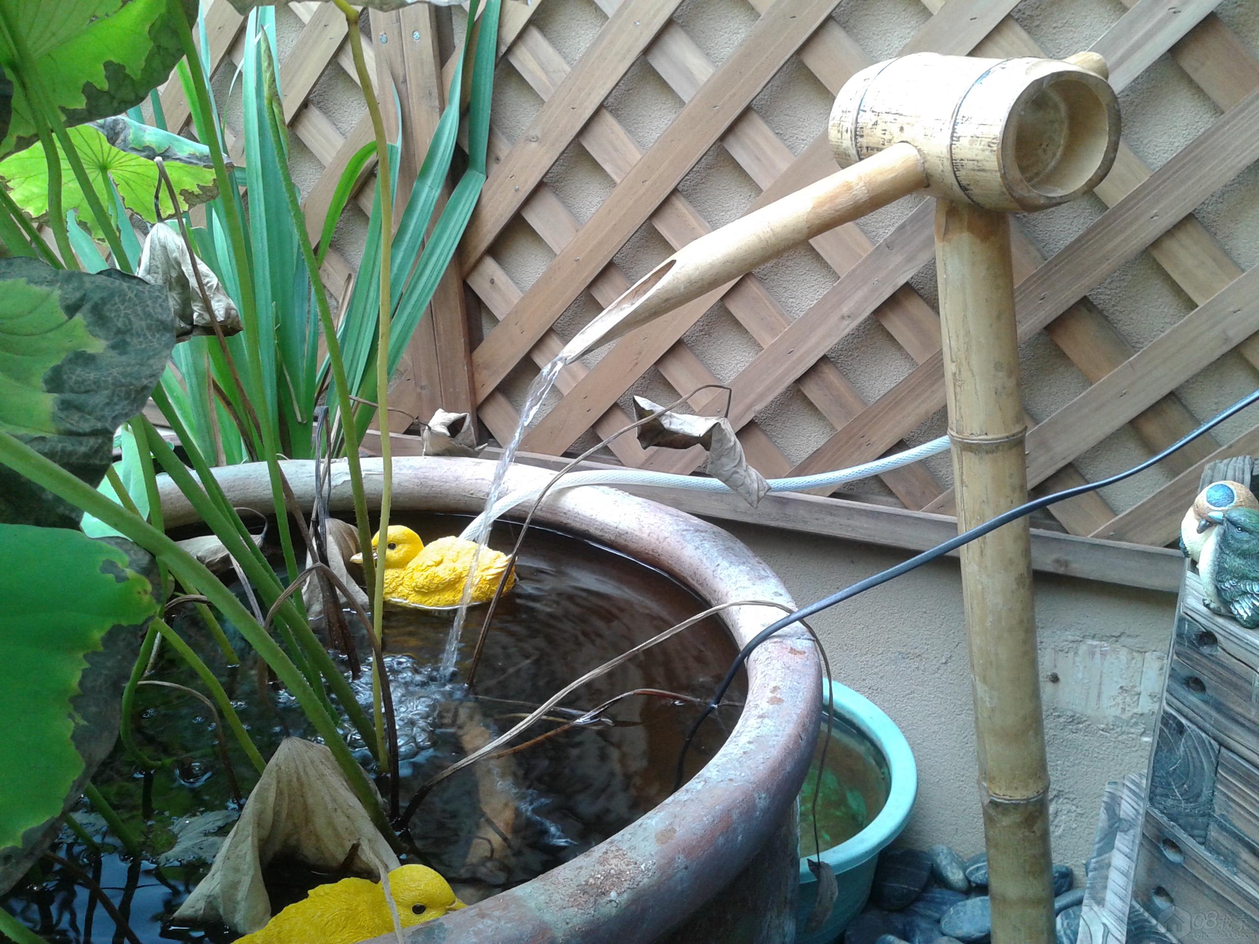 20130829_105423.jpg