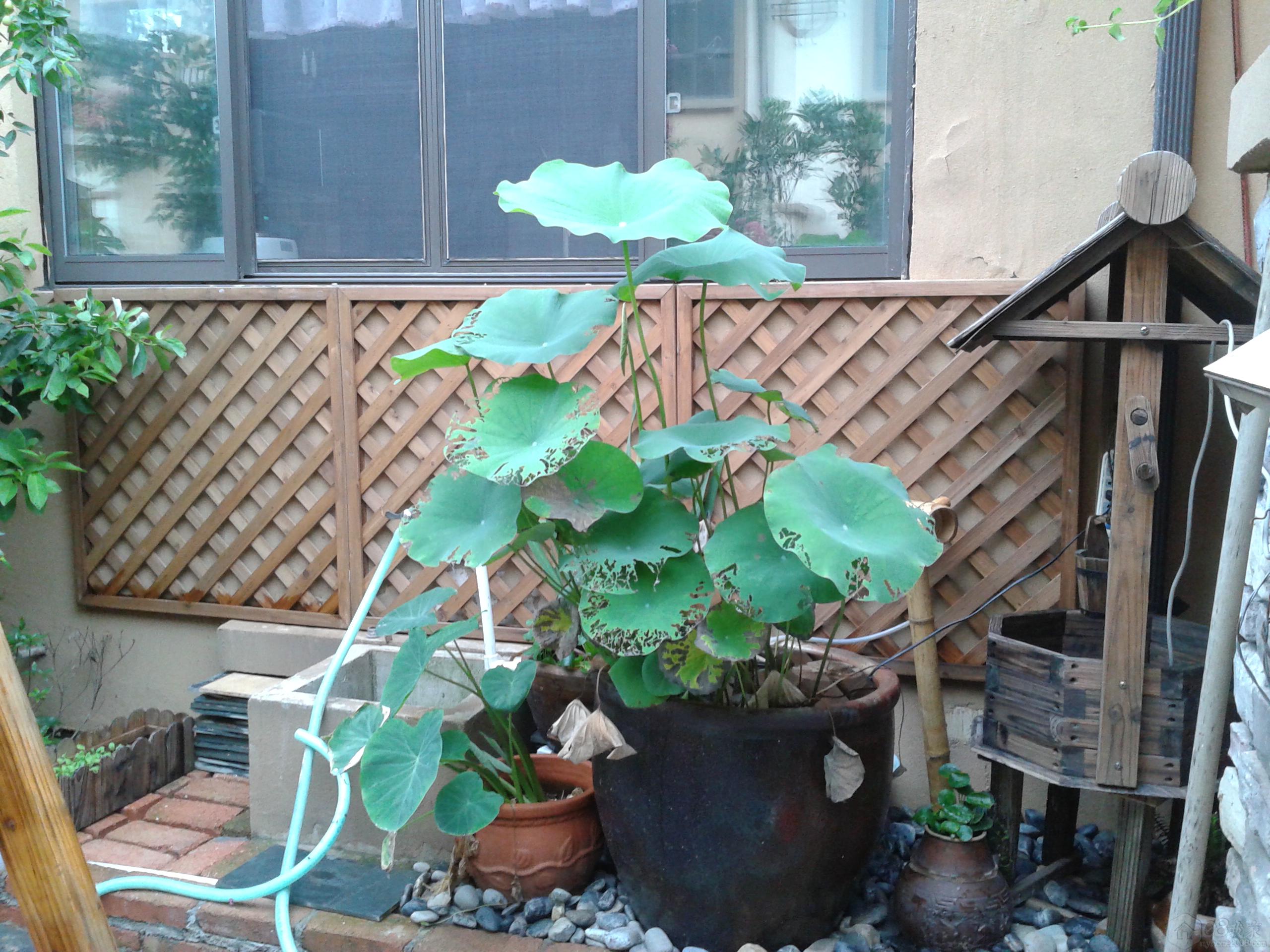 20130824_165244.jpg