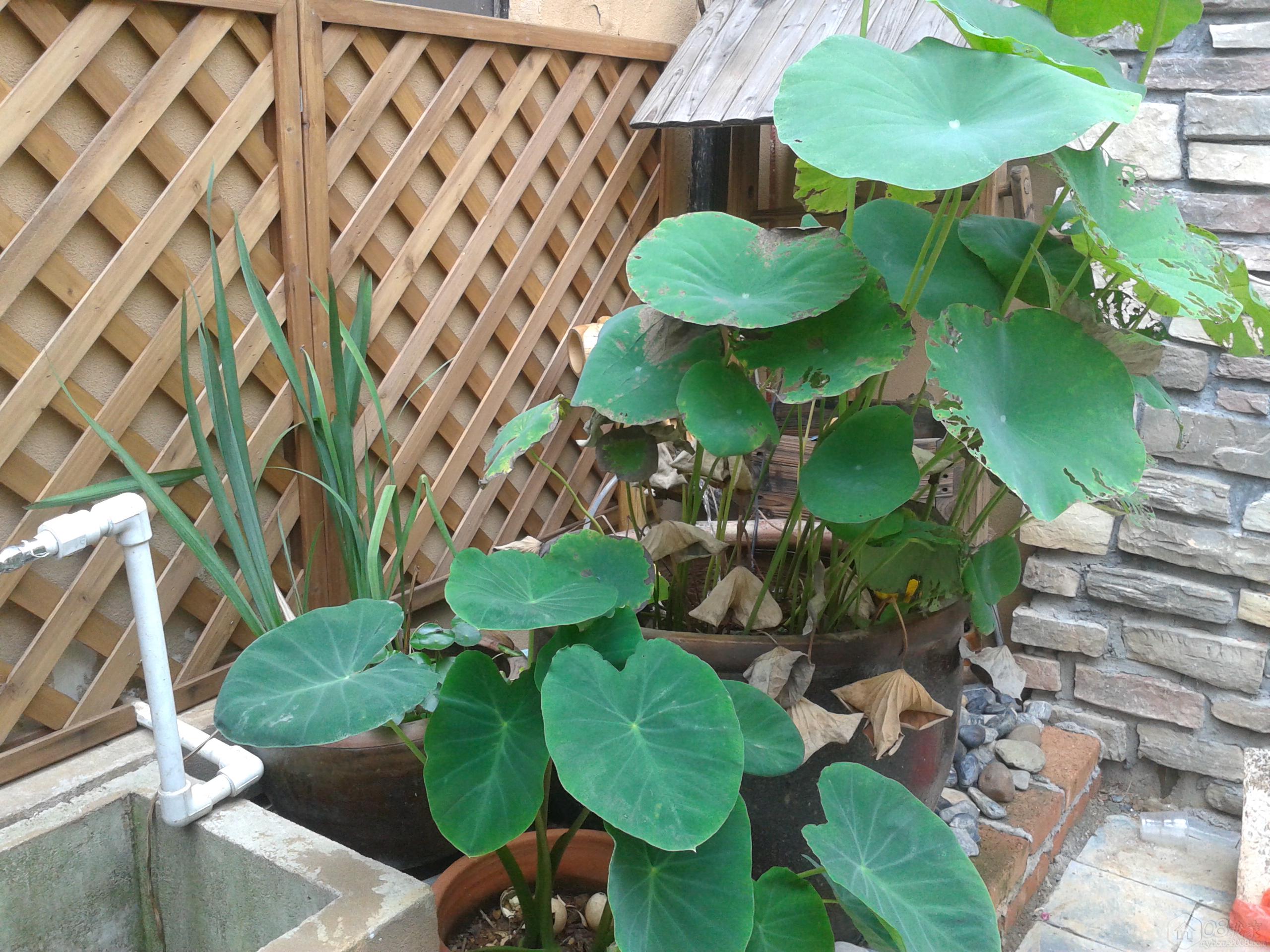 20130829_105535.jpg