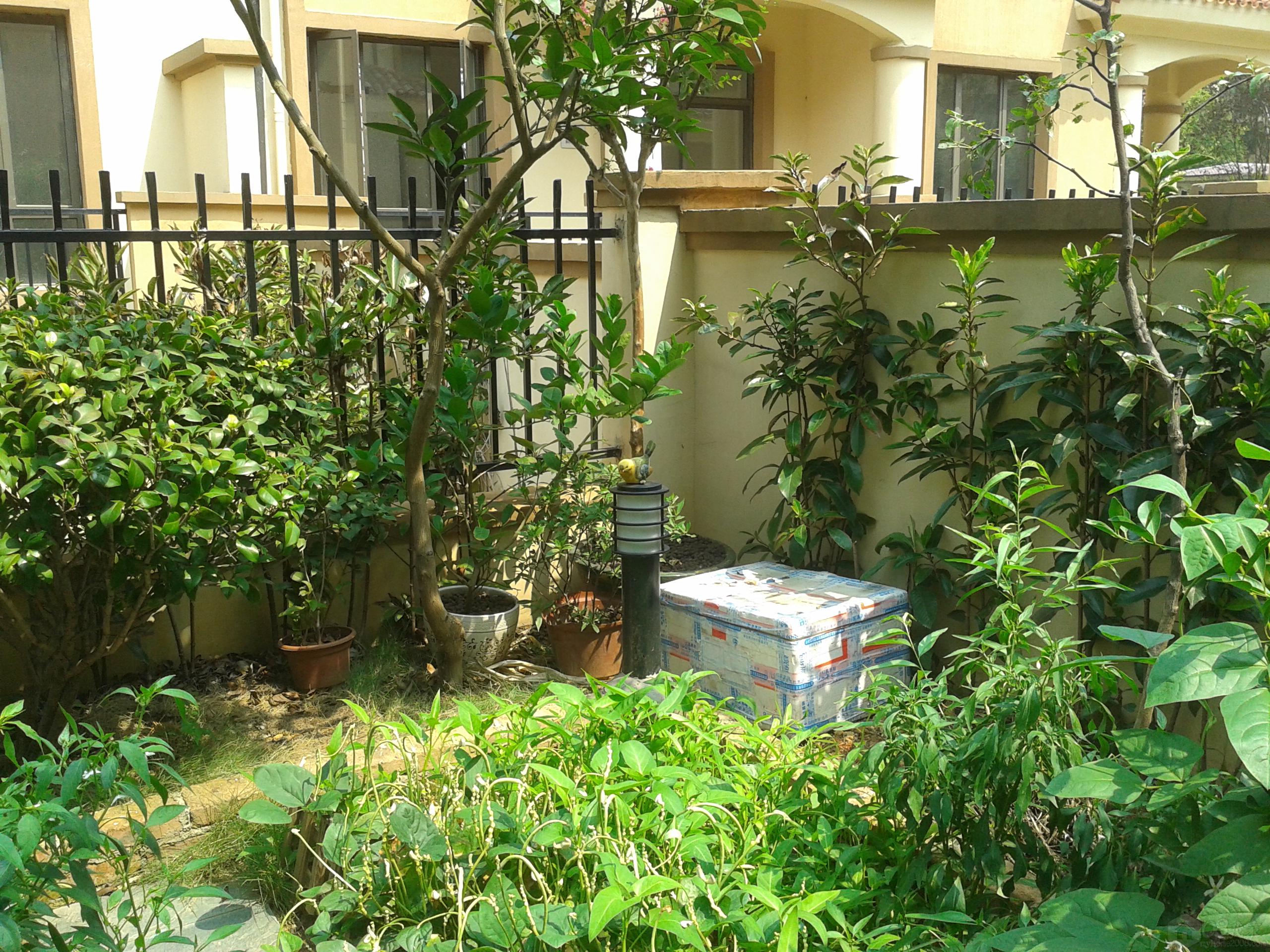 20130829_105255.jpg