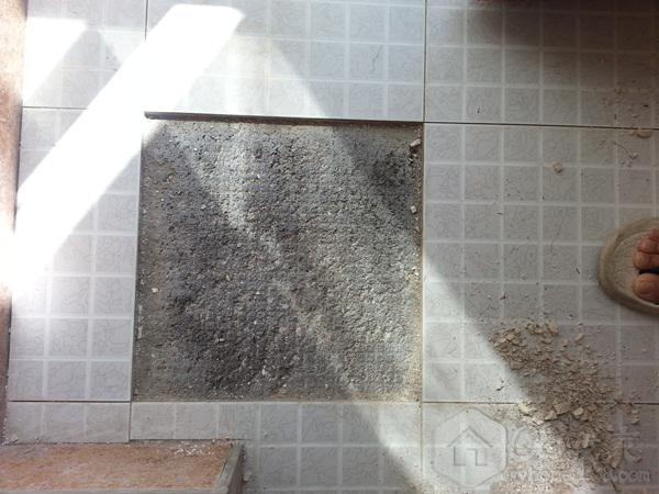 20130808_100047.jpg