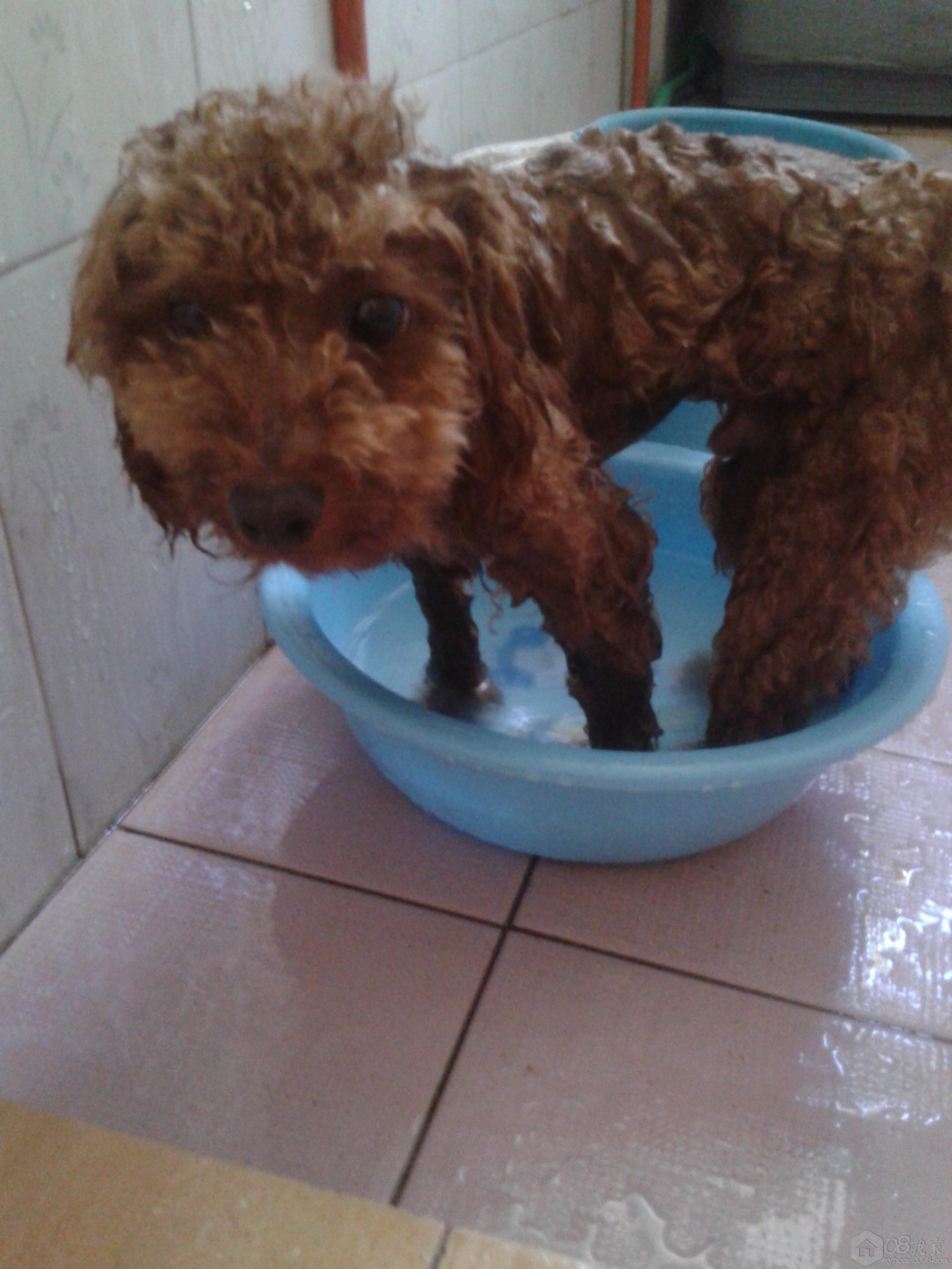 20130808_134427.jpg