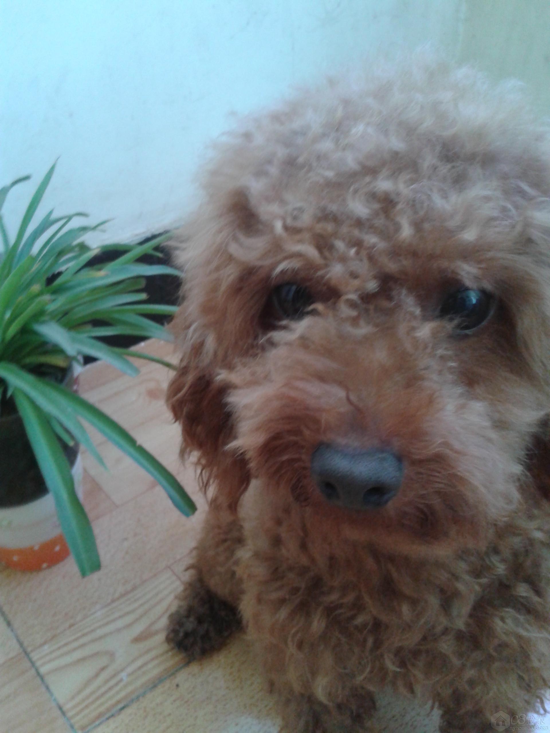 20130808_143424.jpg
