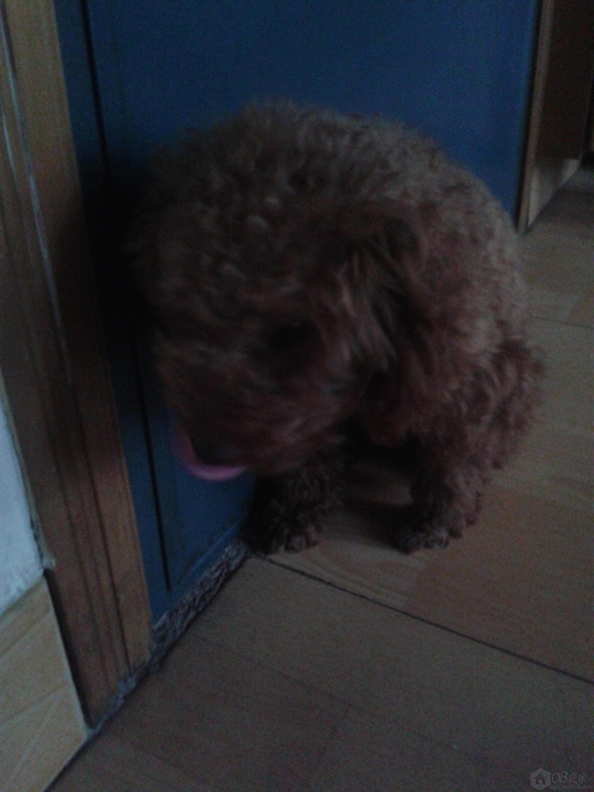 20130808_134102.jpg