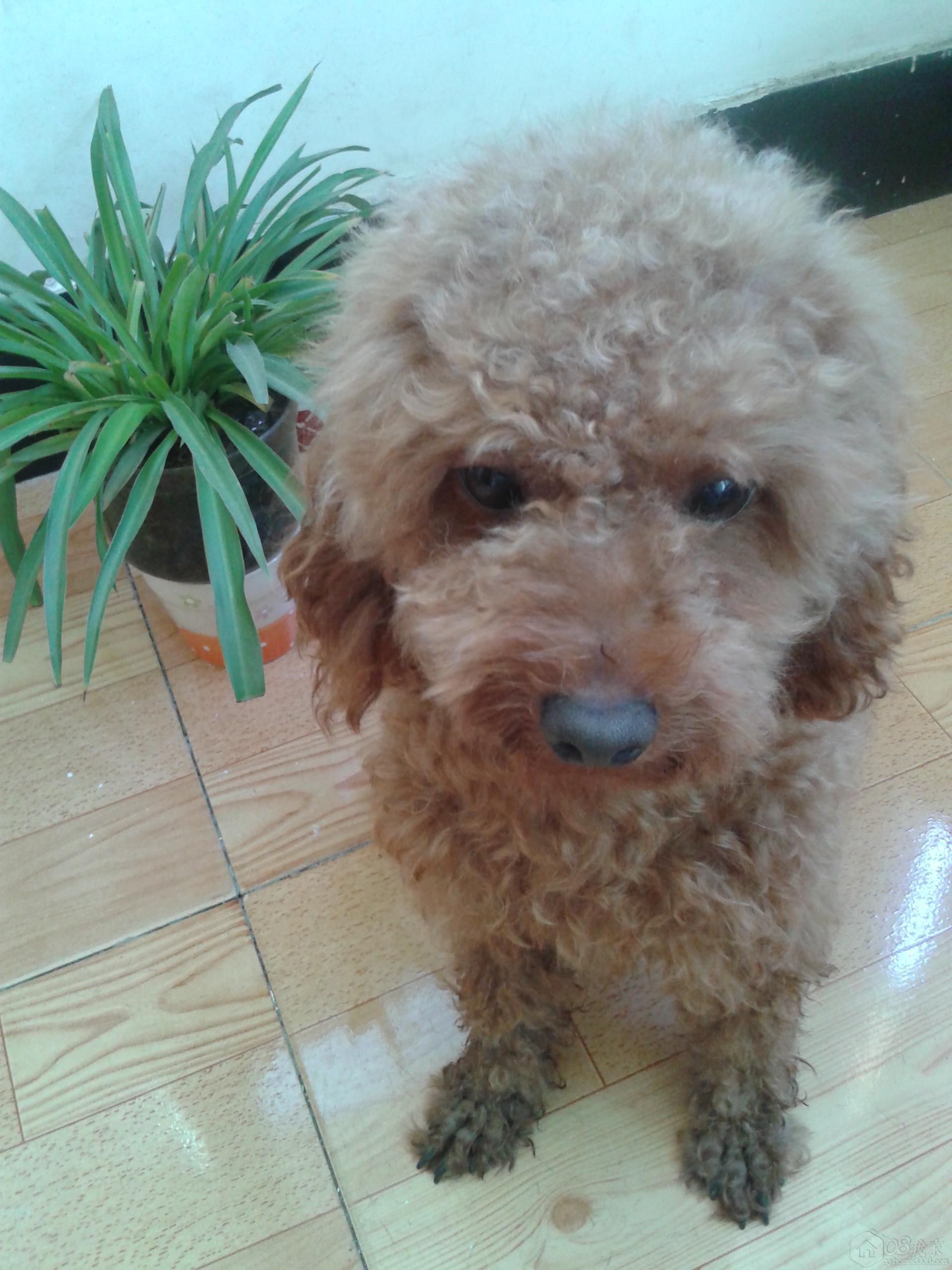 20130808_143438.jpg