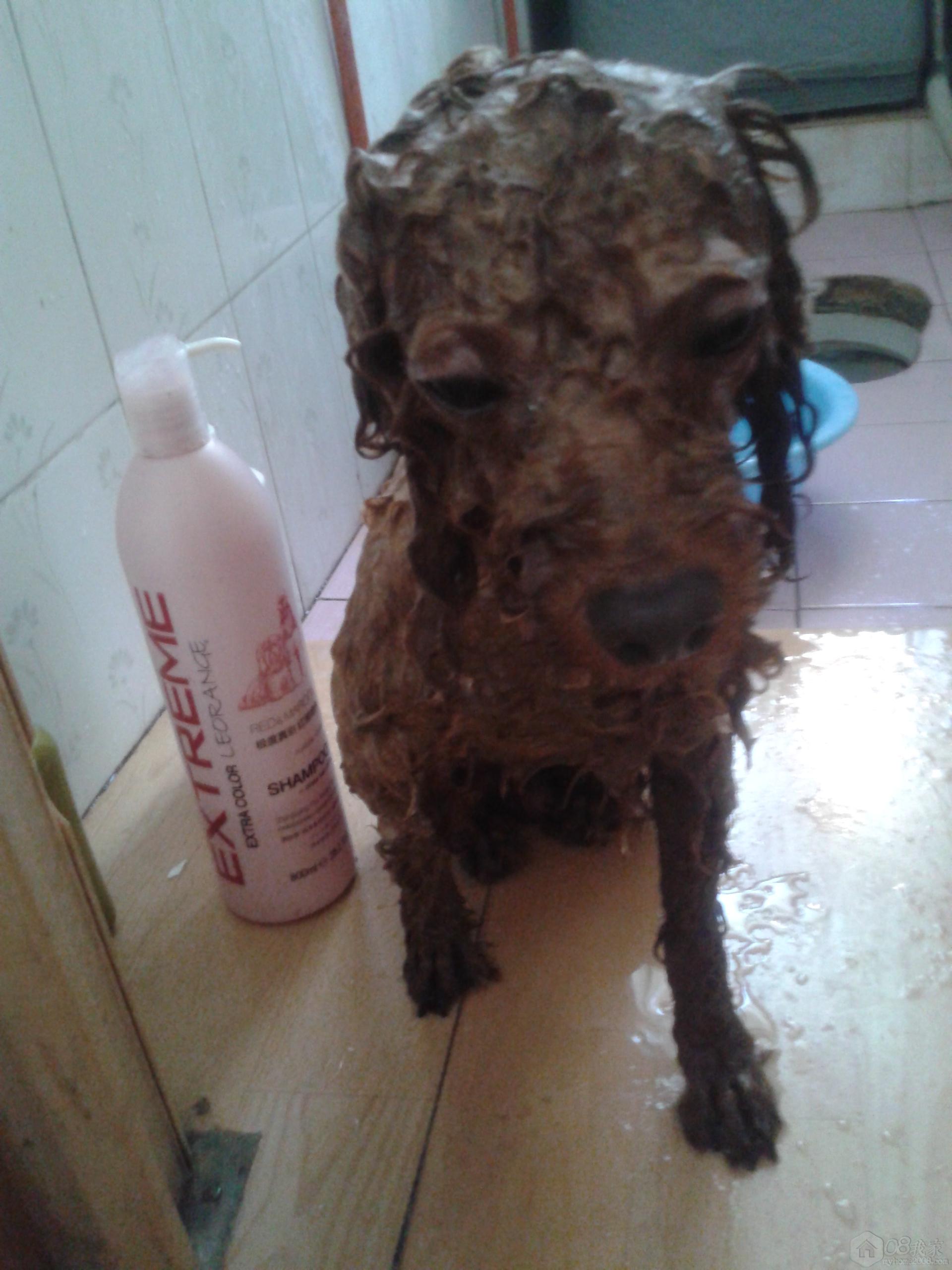 20130808_134737.jpg