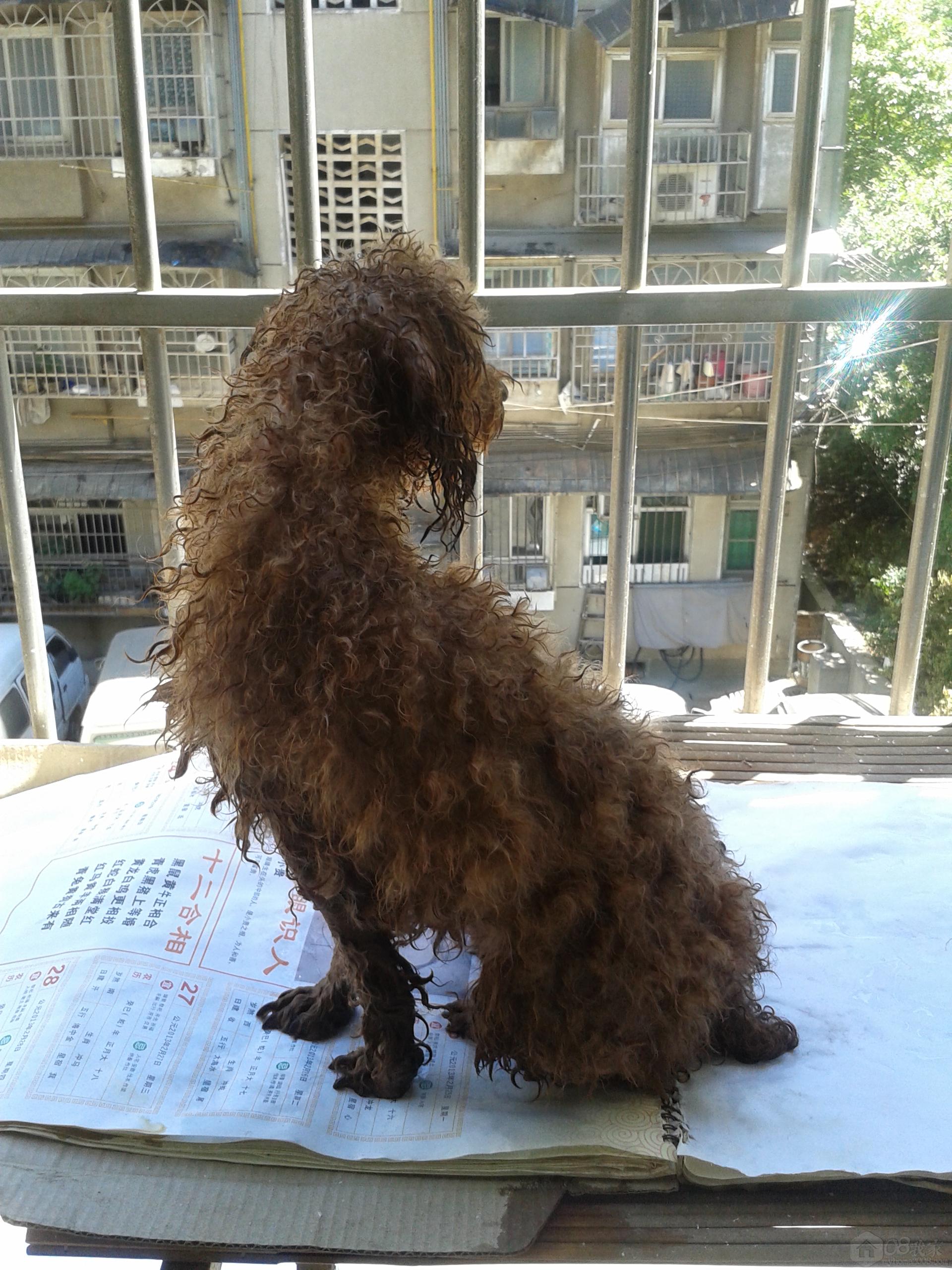 20130808_135200.jpg