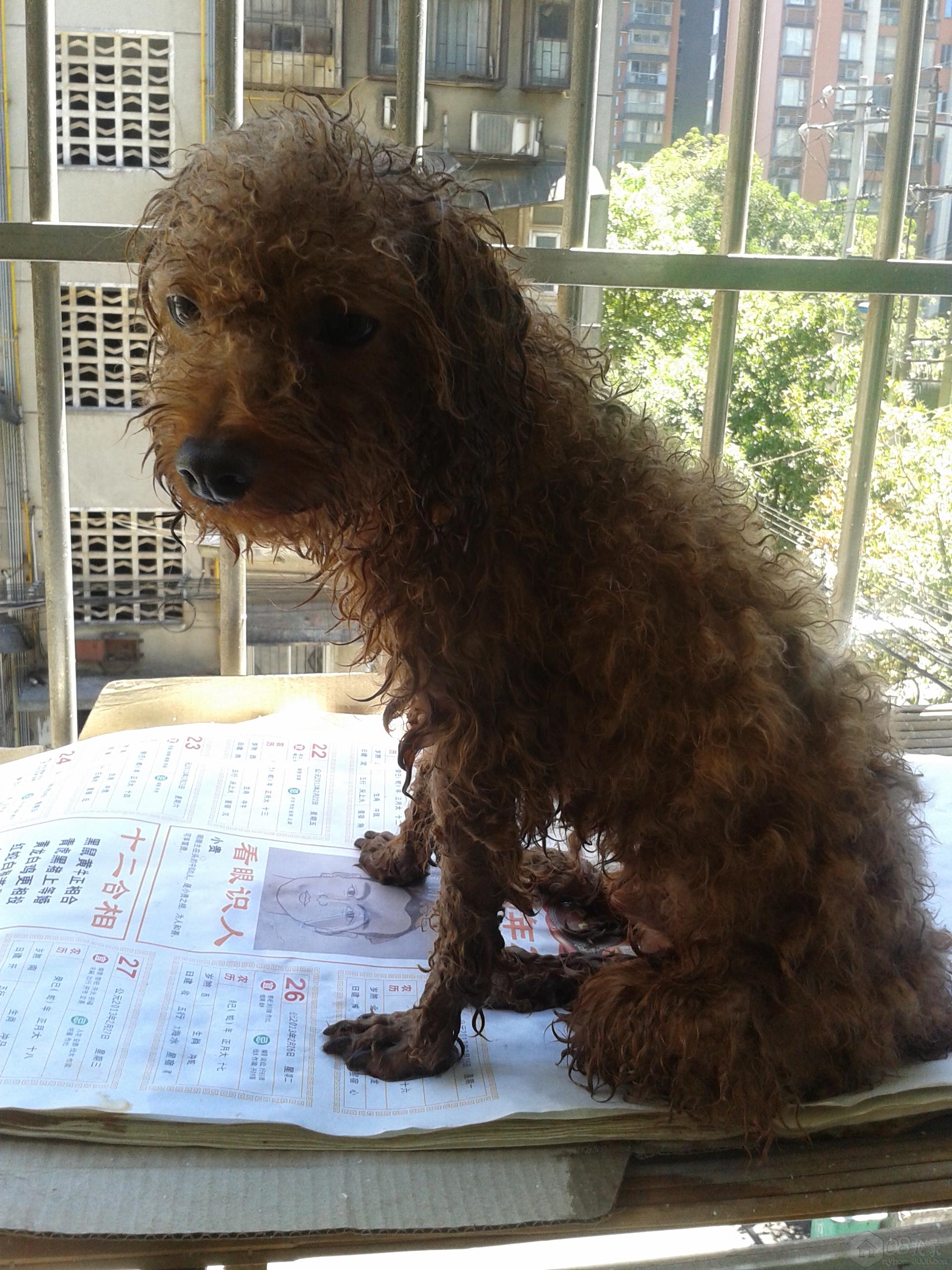 20130808_135351.jpg
