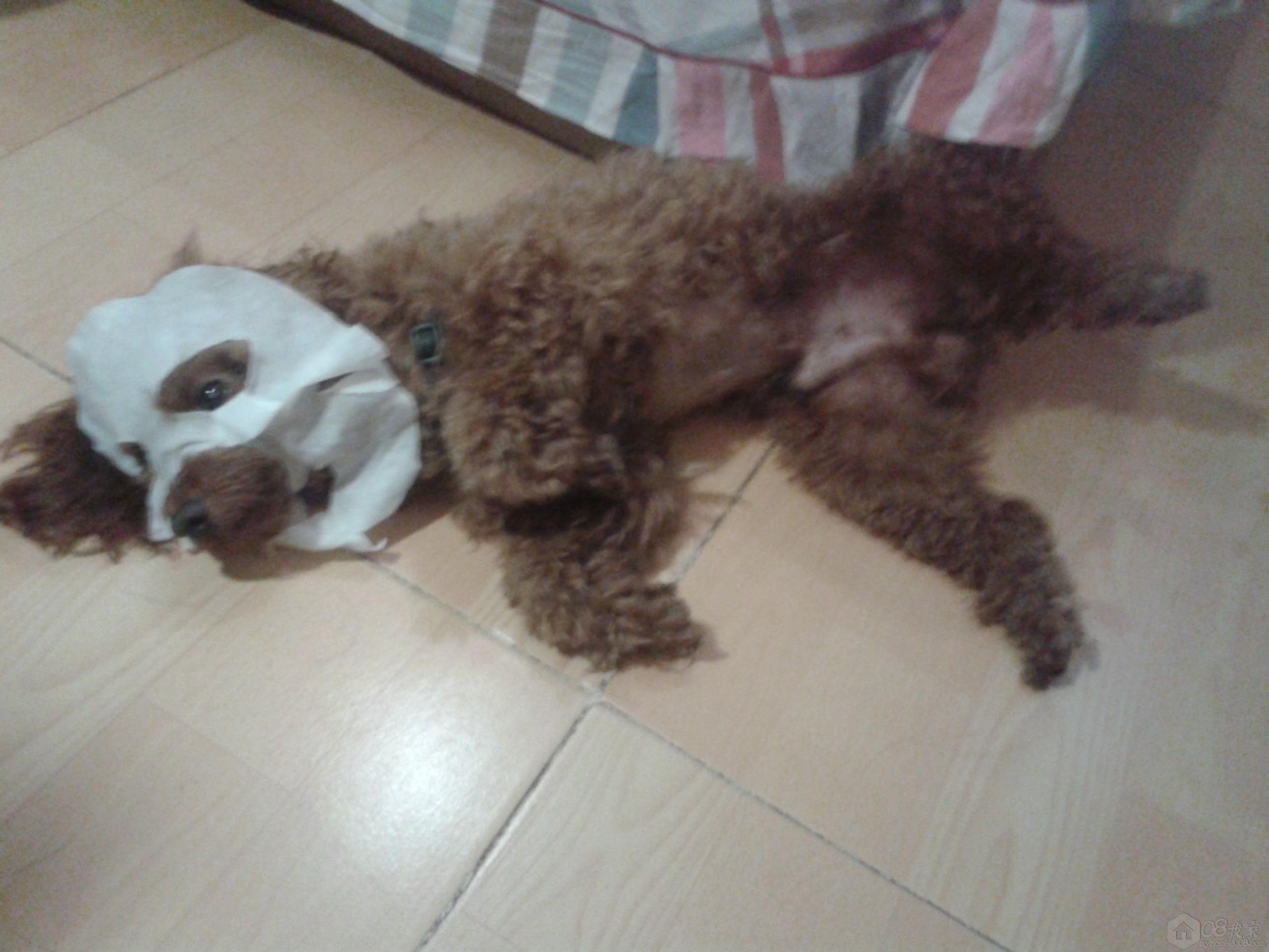 20130812_220220.jpg